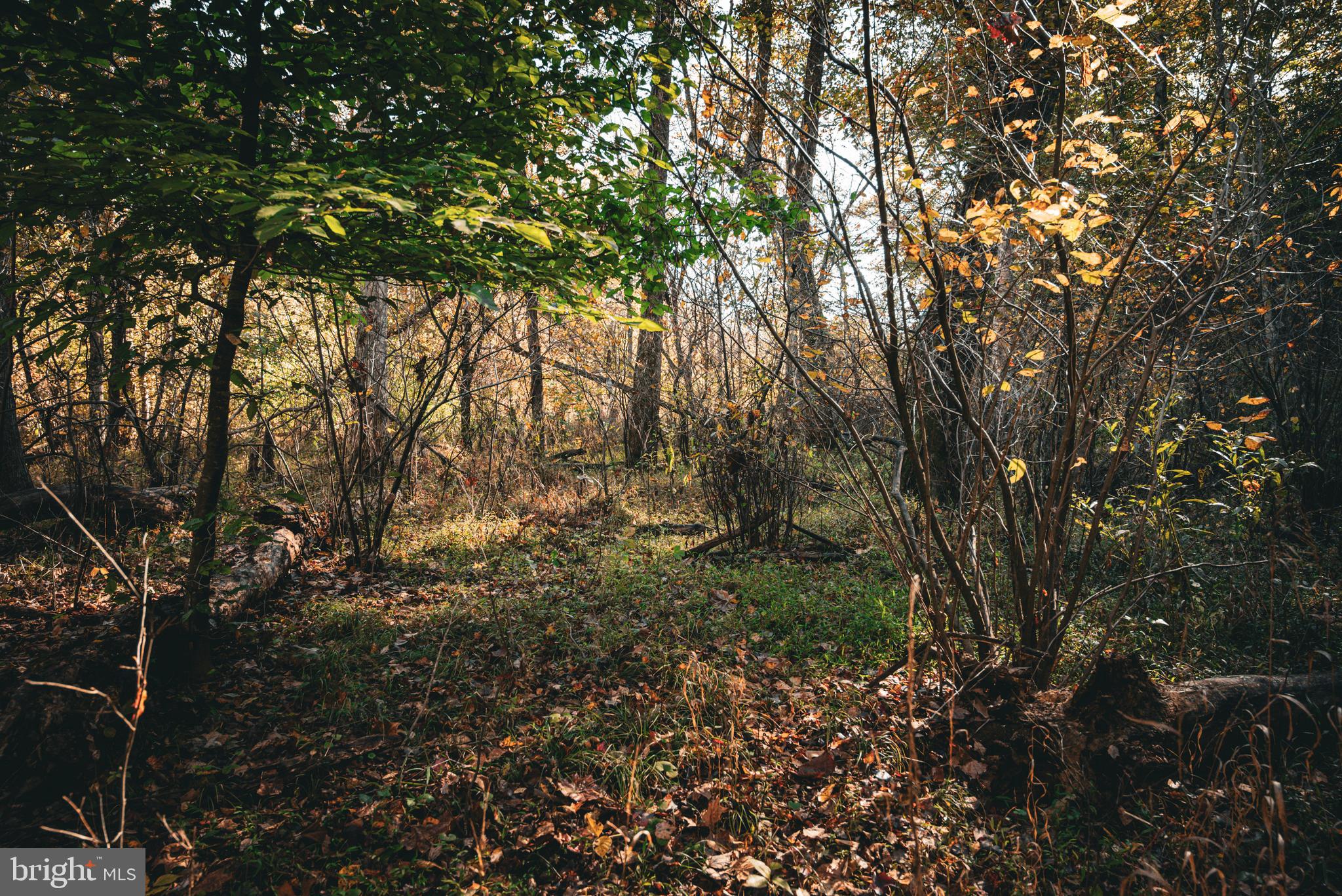 Real estate listing preview #20