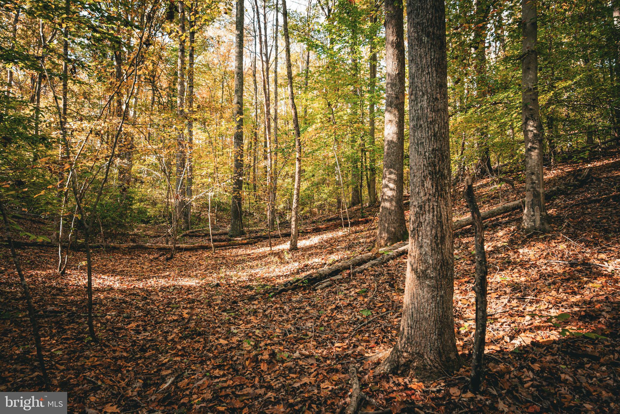 Real estate listing preview #29