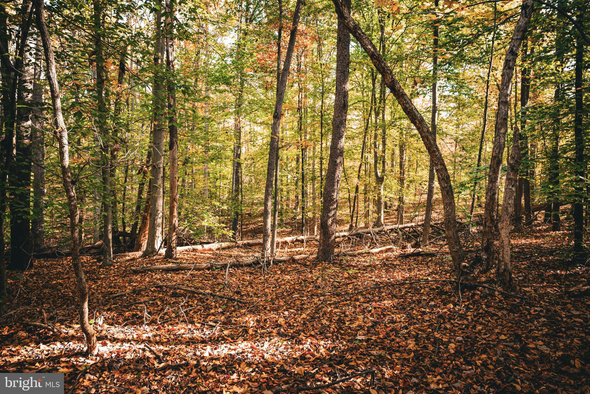 Real estate listing preview #30