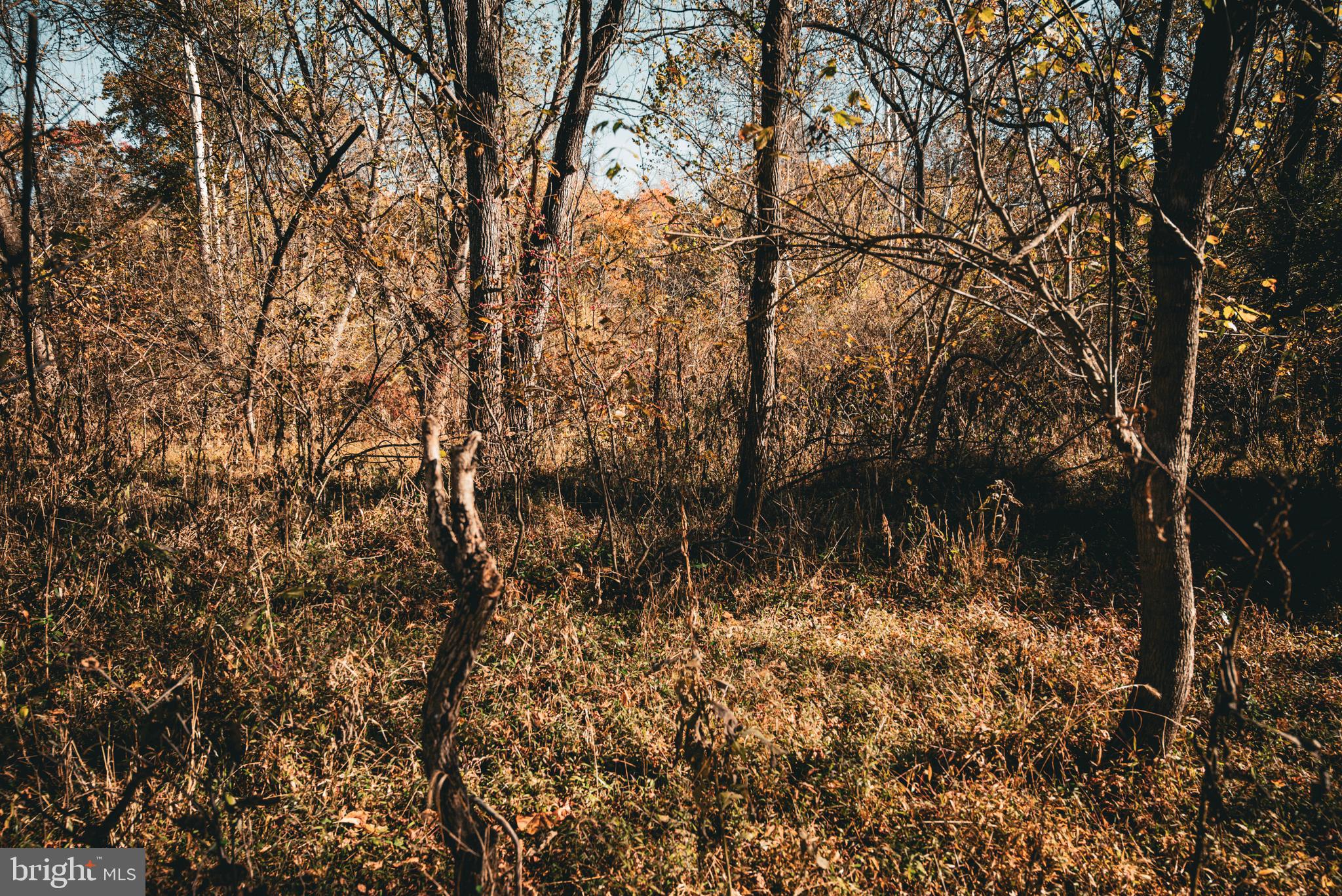 Real estate listing preview #24