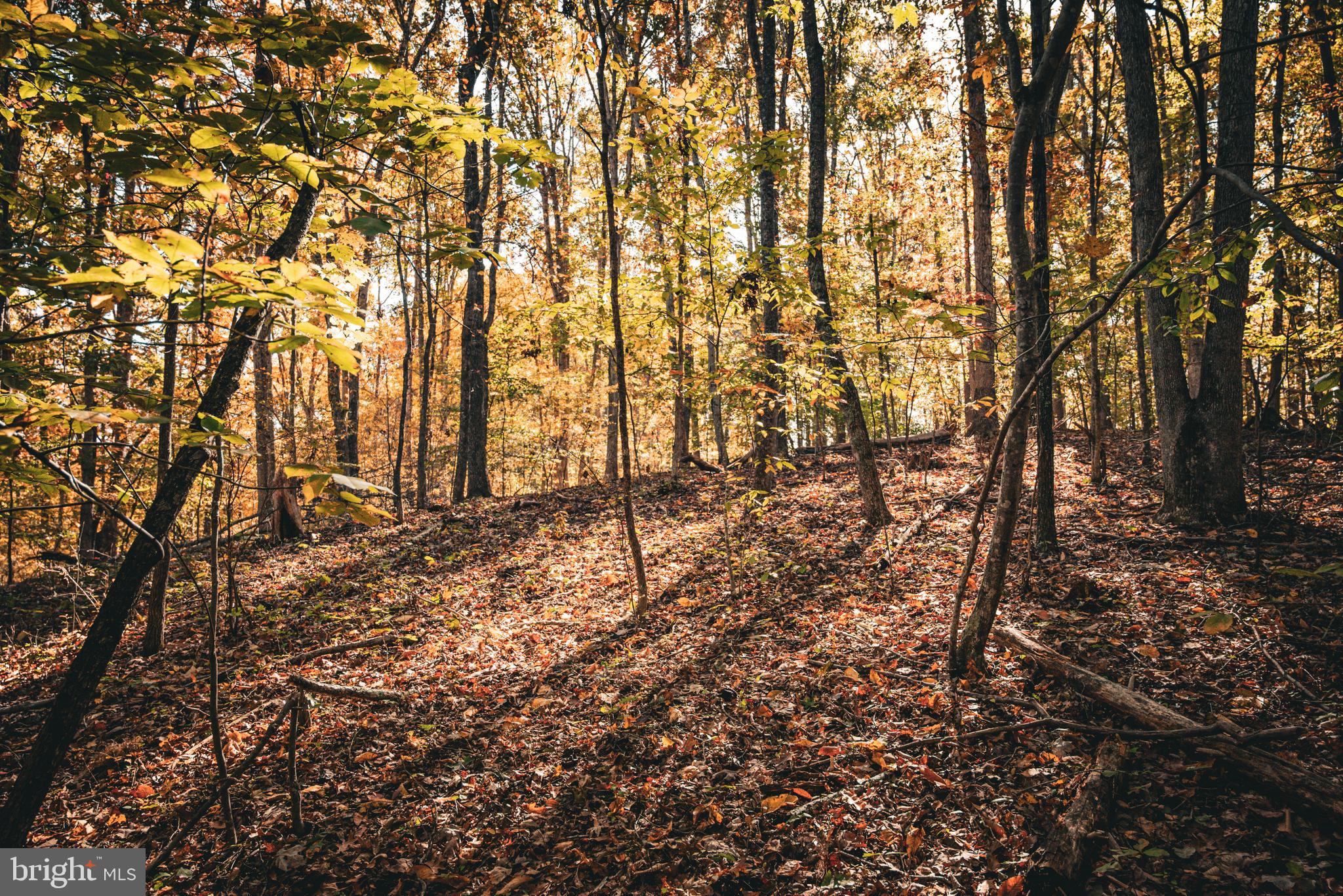 Real estate listing preview #27