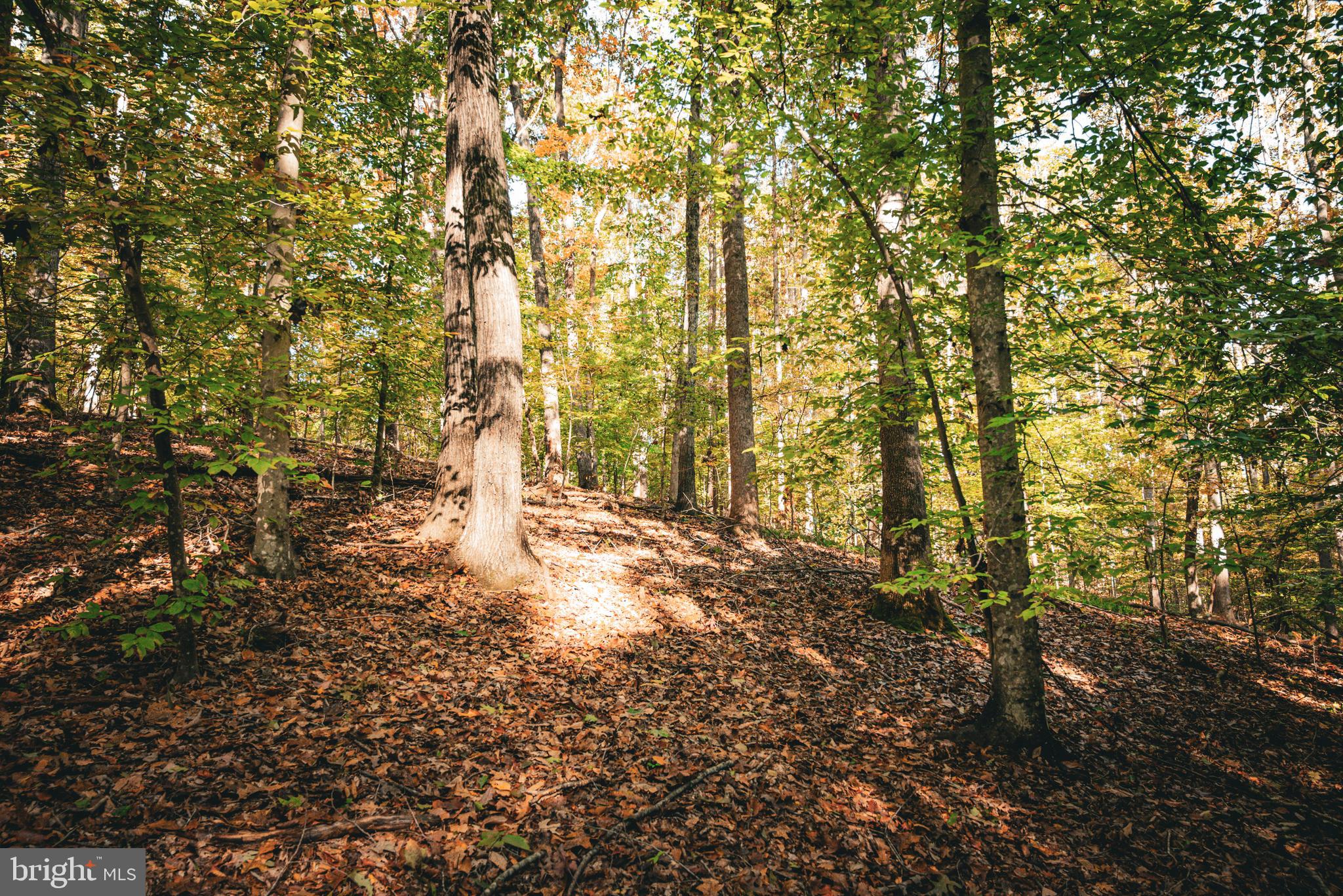 Real estate listing preview #34