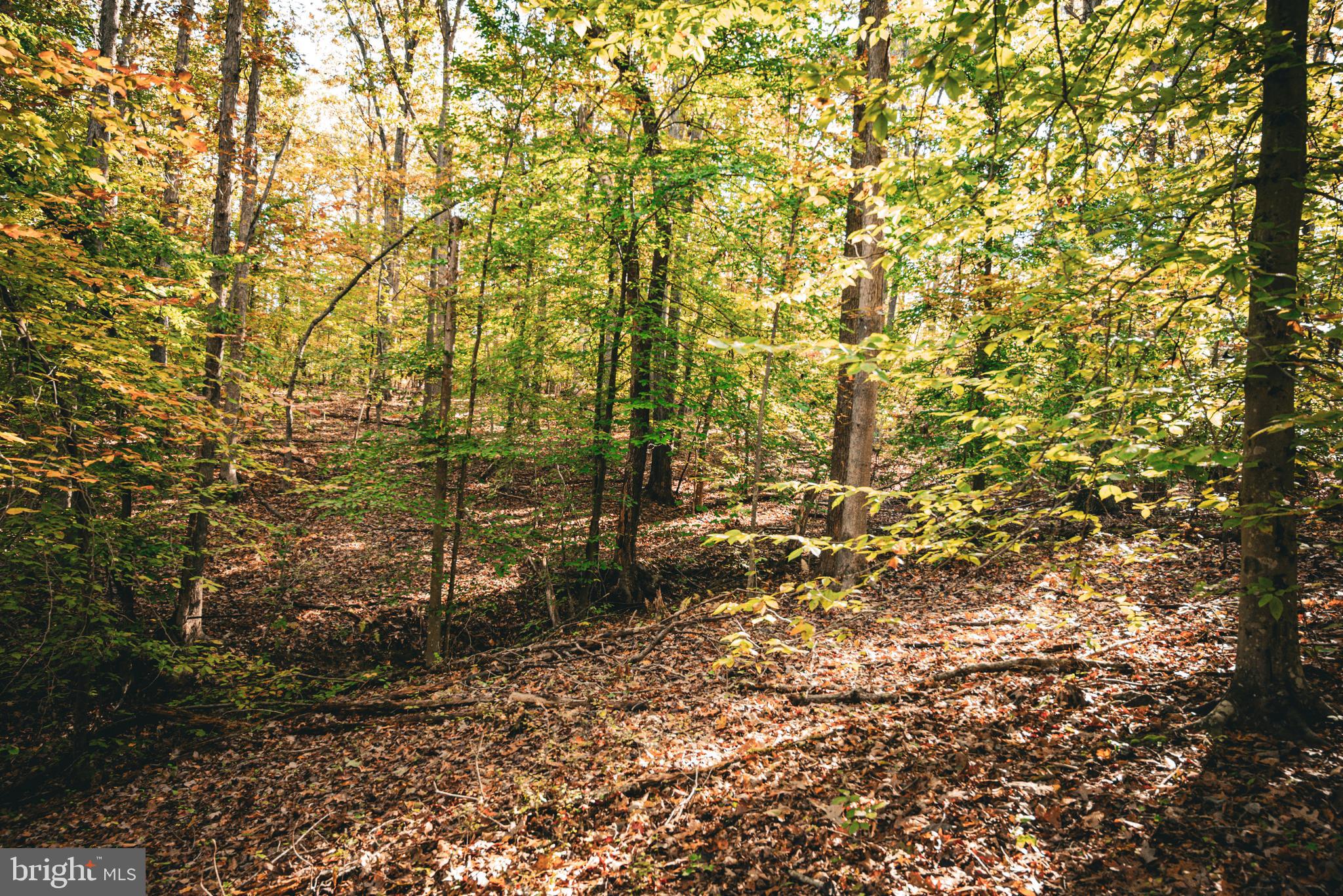 Real estate listing preview #32