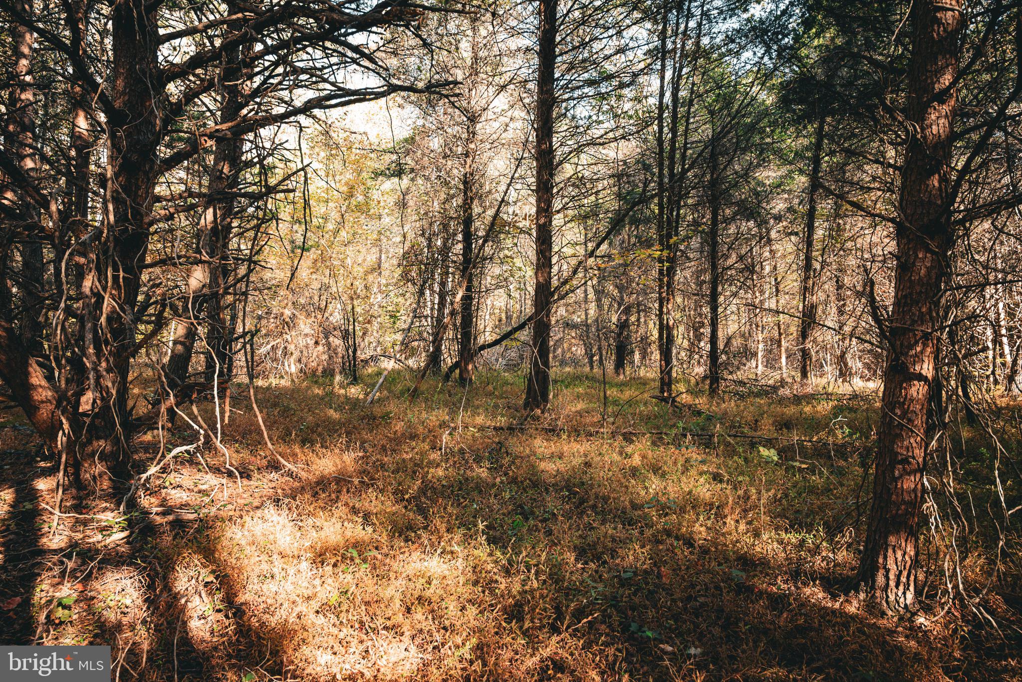 Real estate listing preview #41