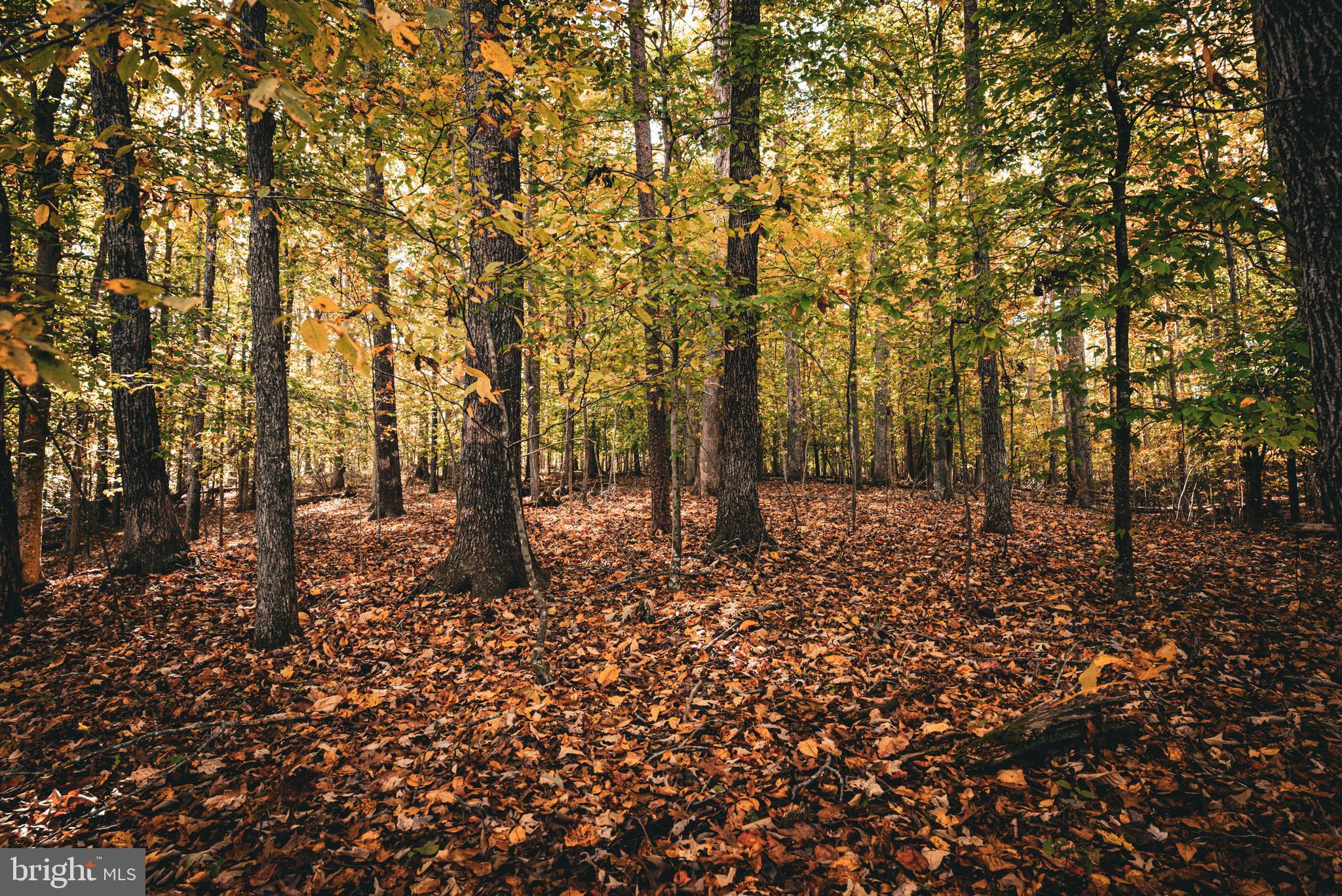 Real estate listing preview #35