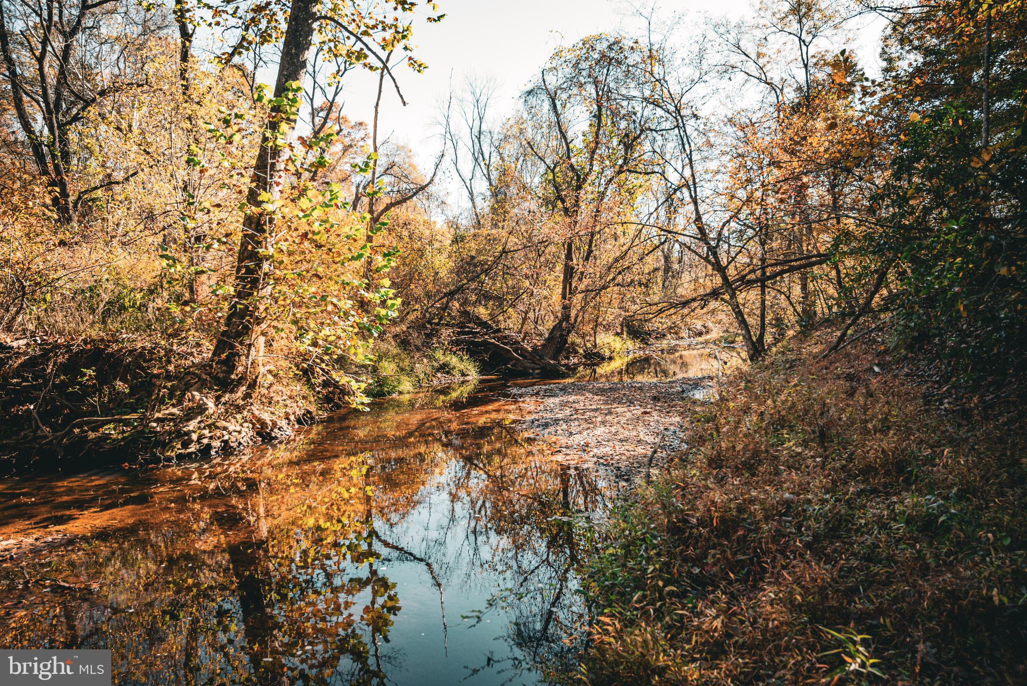 Real estate listing preview #6