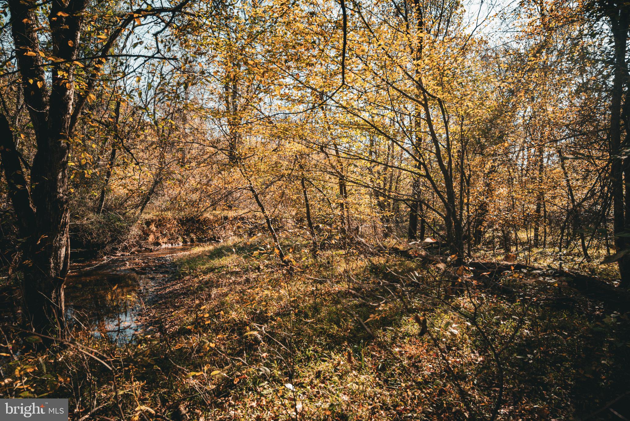 Real estate listing preview #7