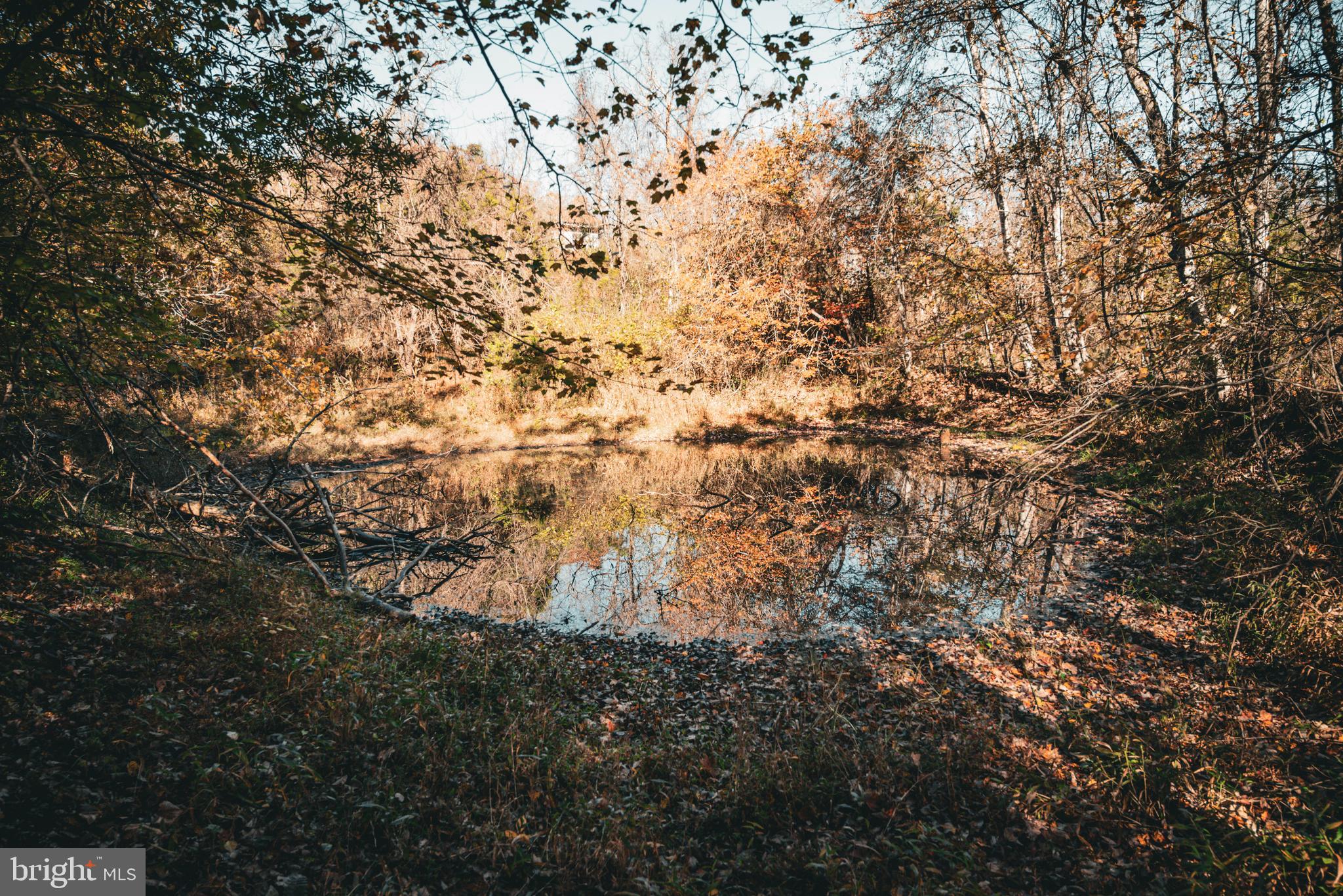 Real estate listing preview #10