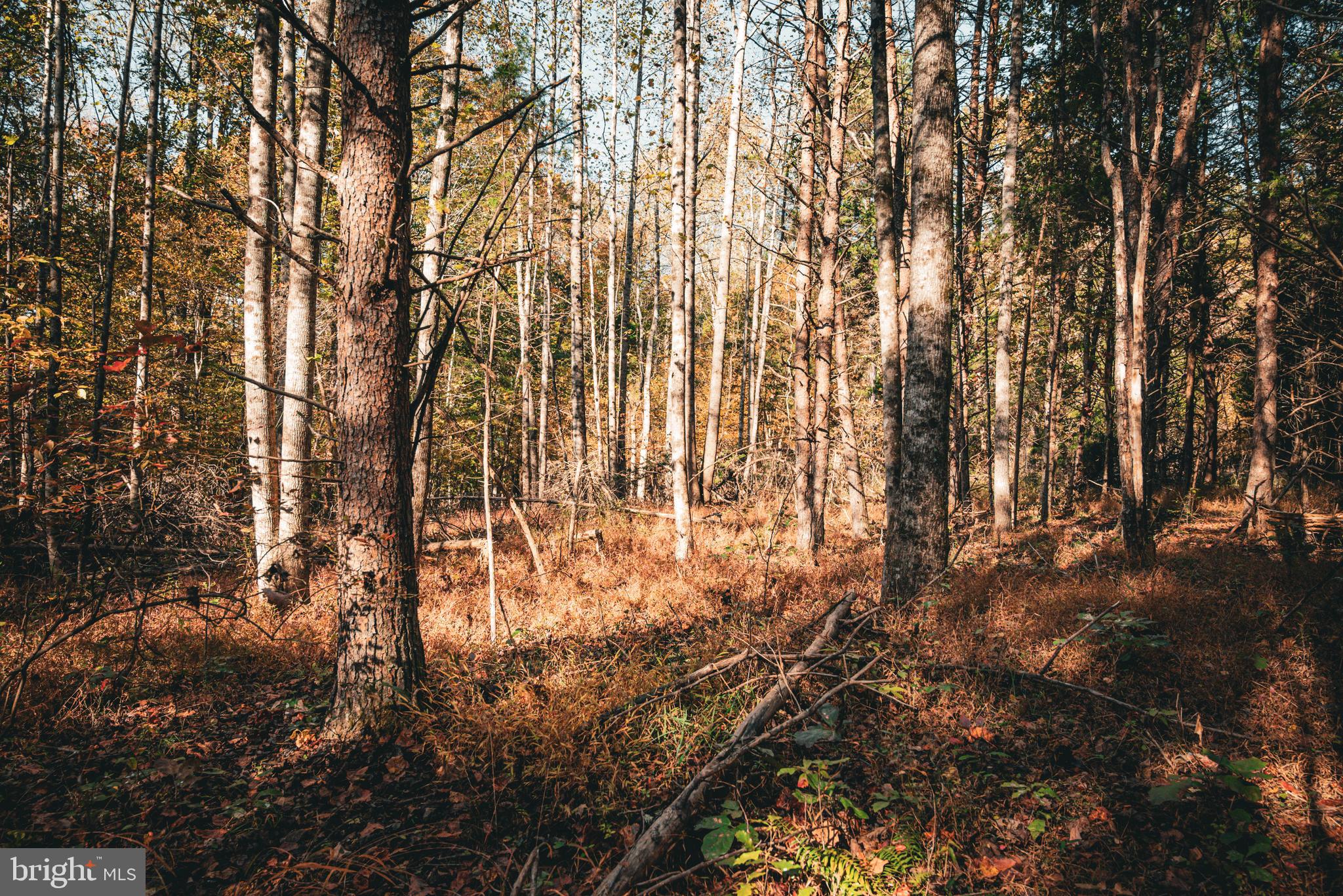 Real estate listing preview #11