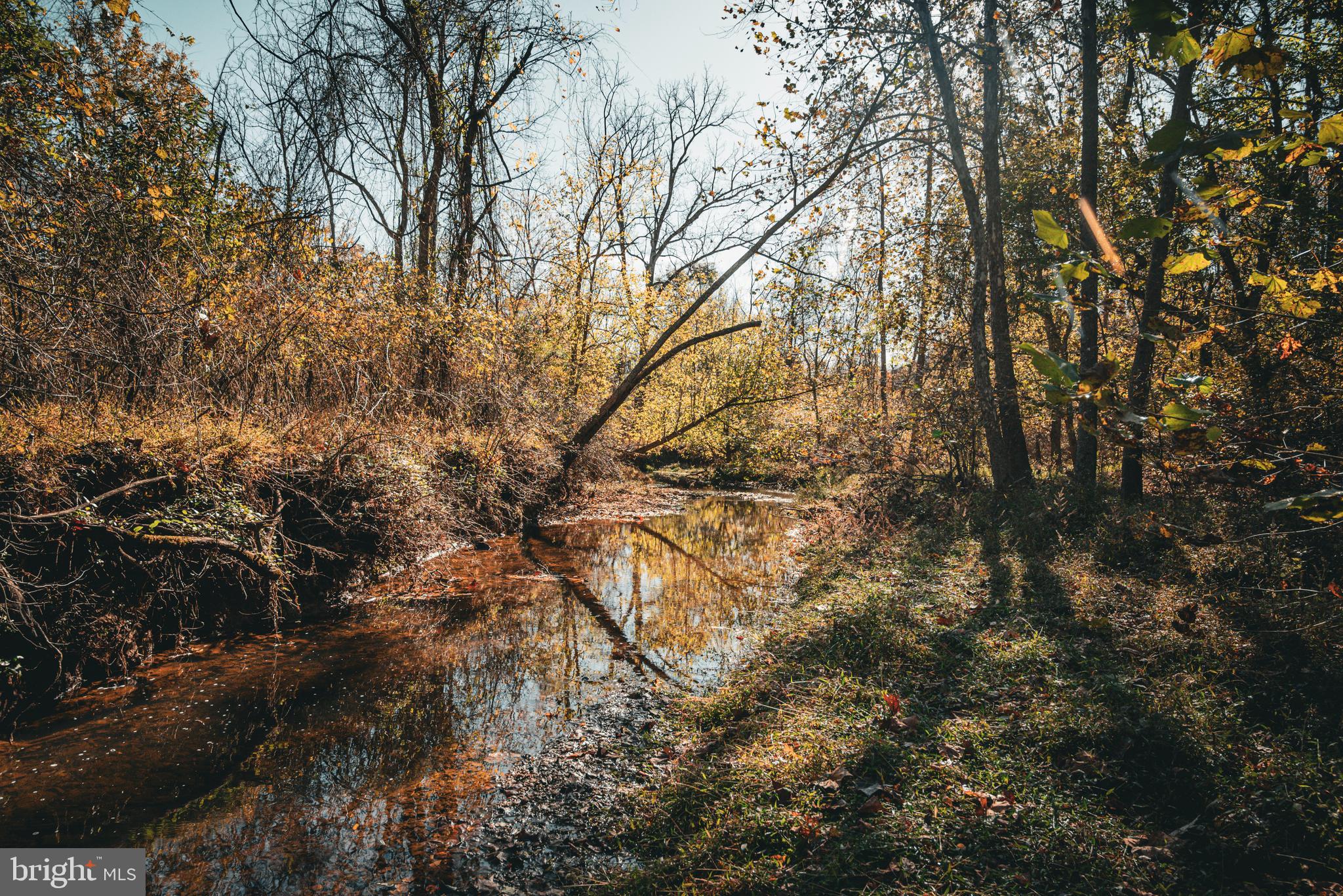 Real estate listing preview #5