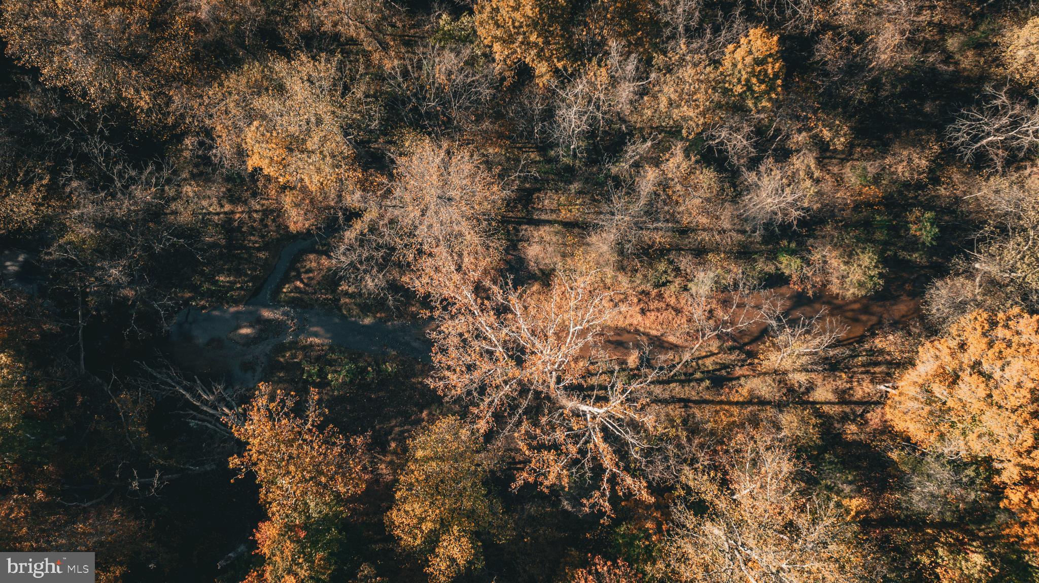 Real estate listing preview #2