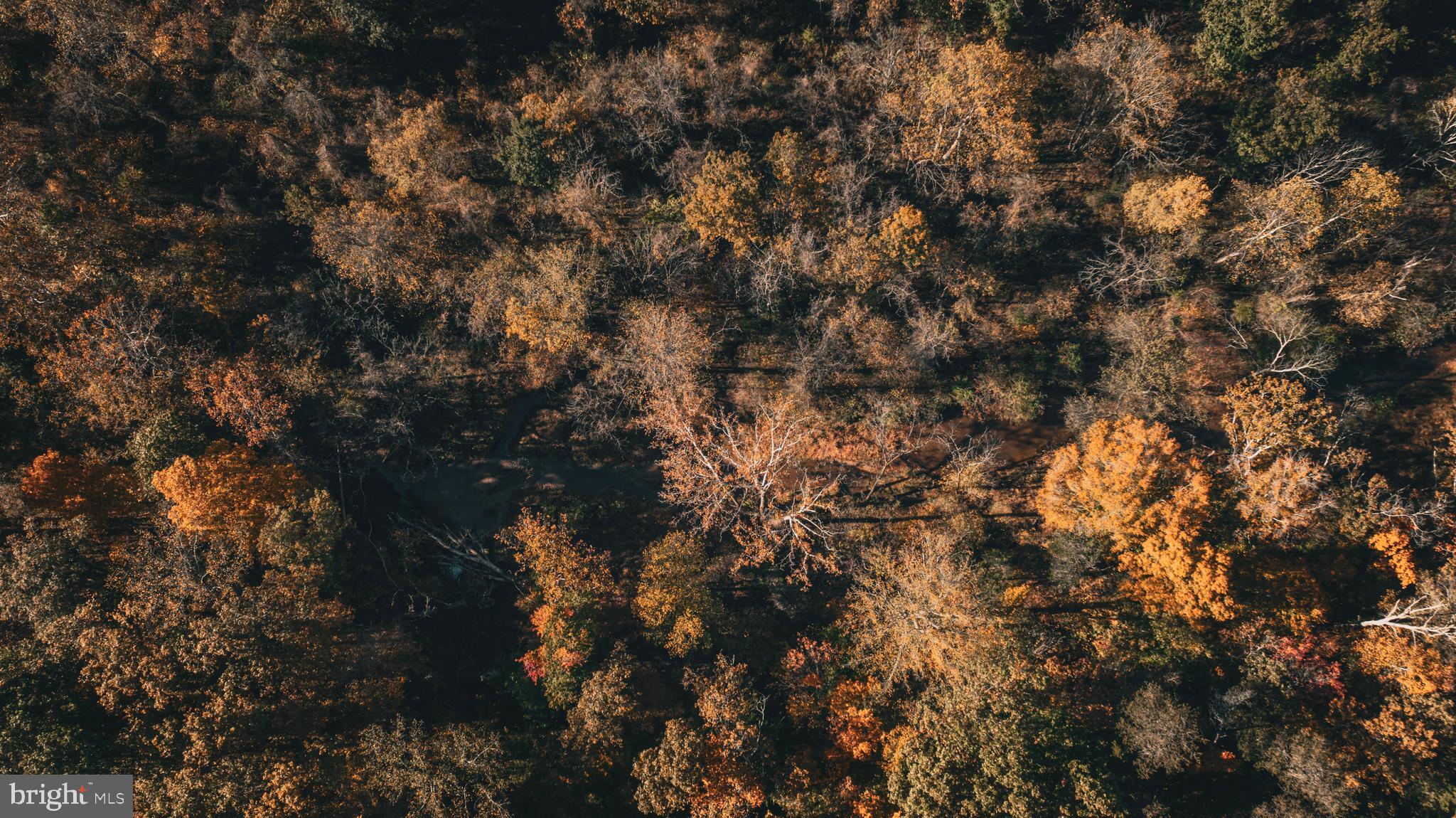 Real estate listing preview #48