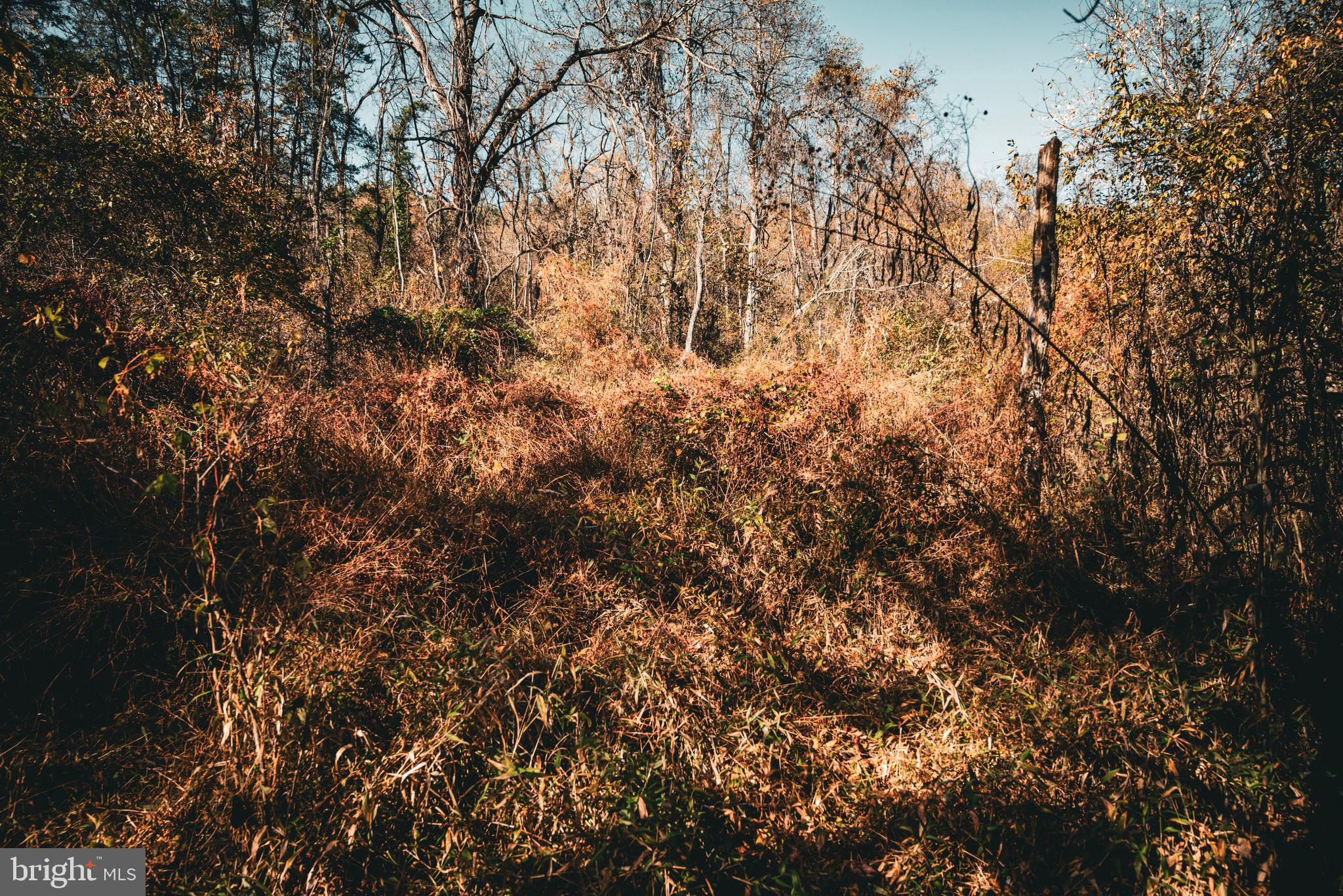 Real estate listing preview #21