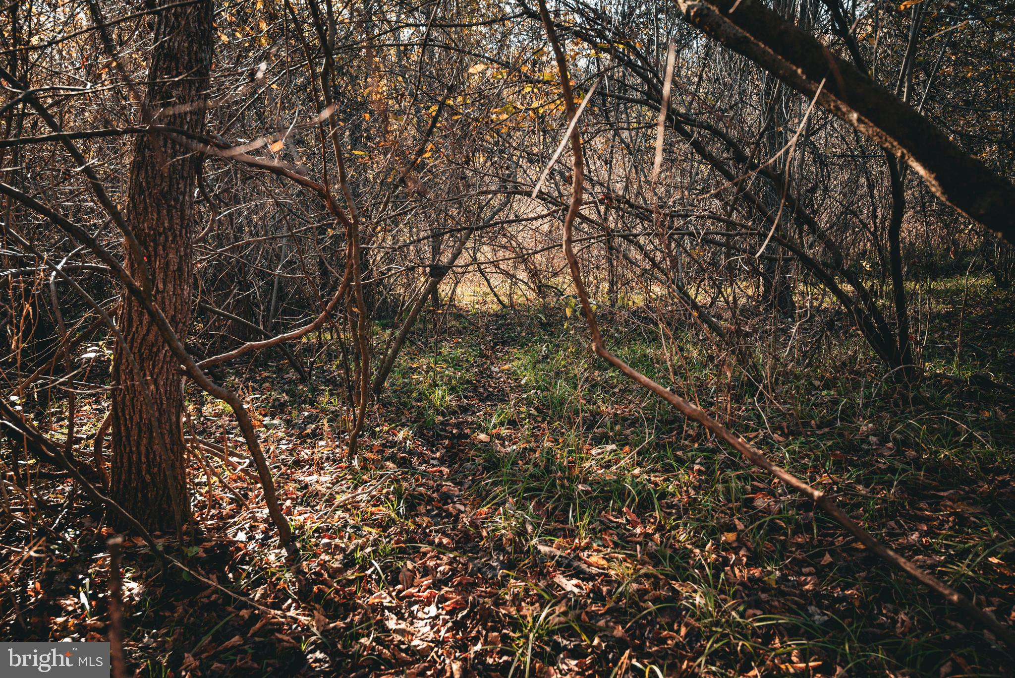 Real estate listing preview #19