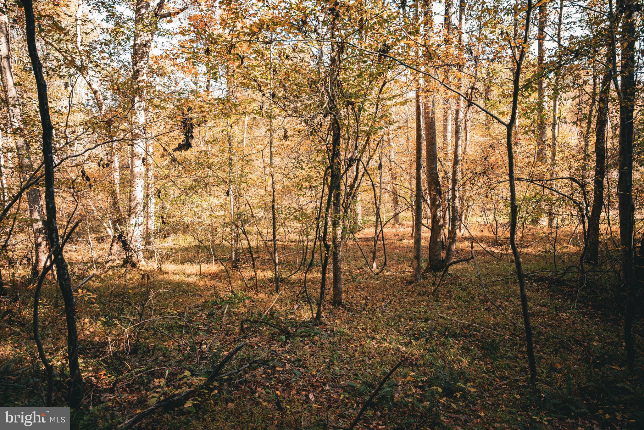 Real estate listing preview #25