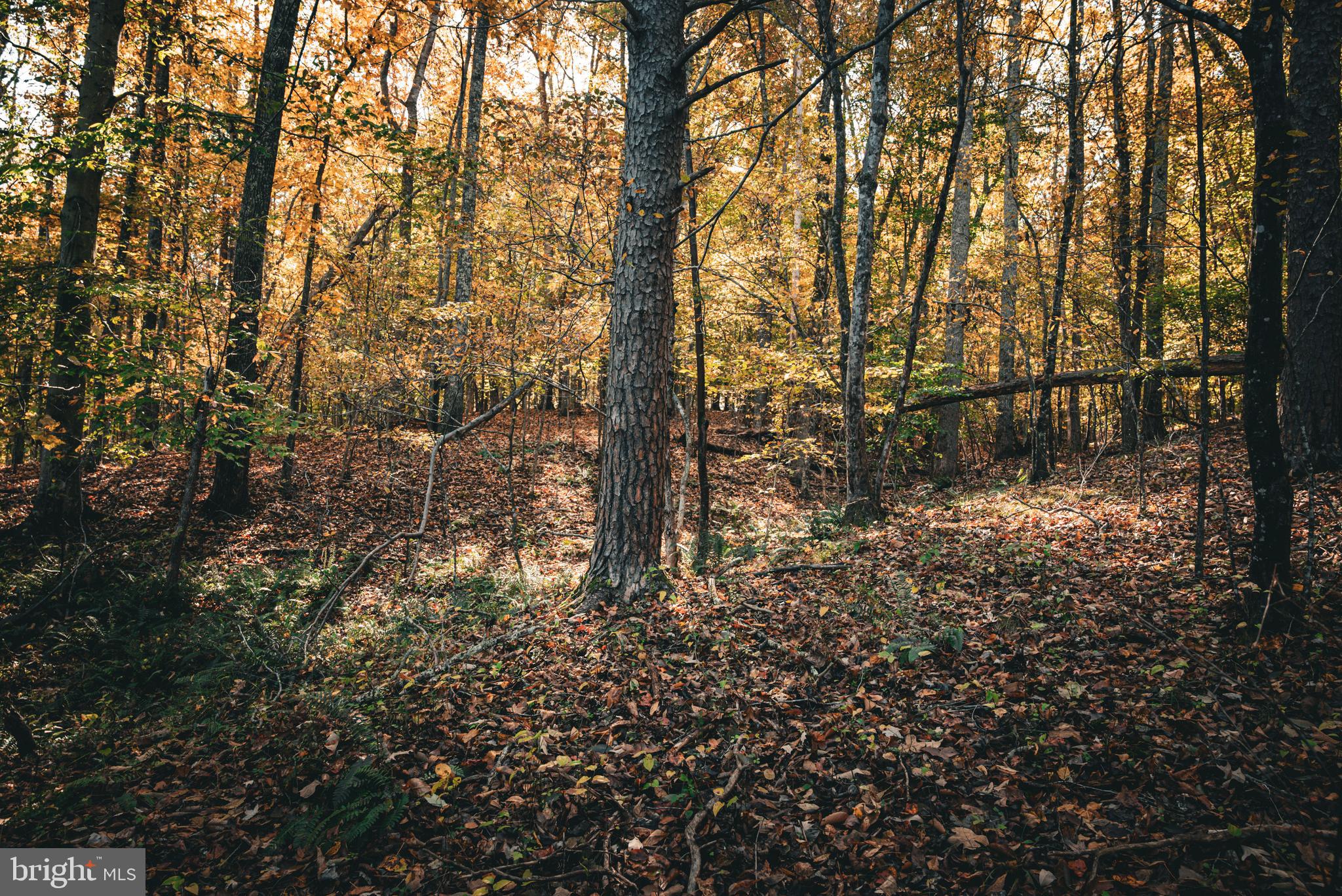 Real estate listing preview #26