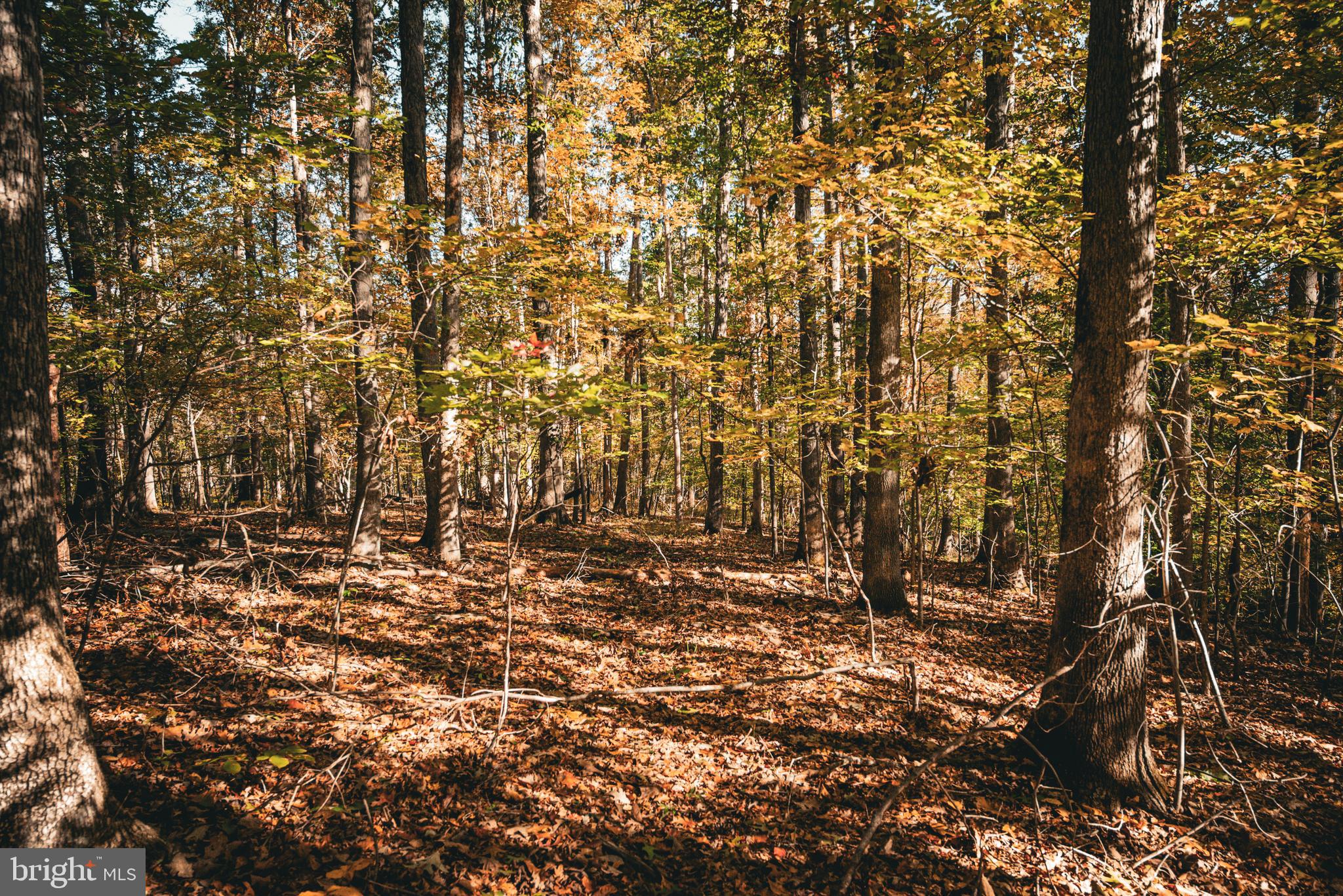 Real estate listing preview #28