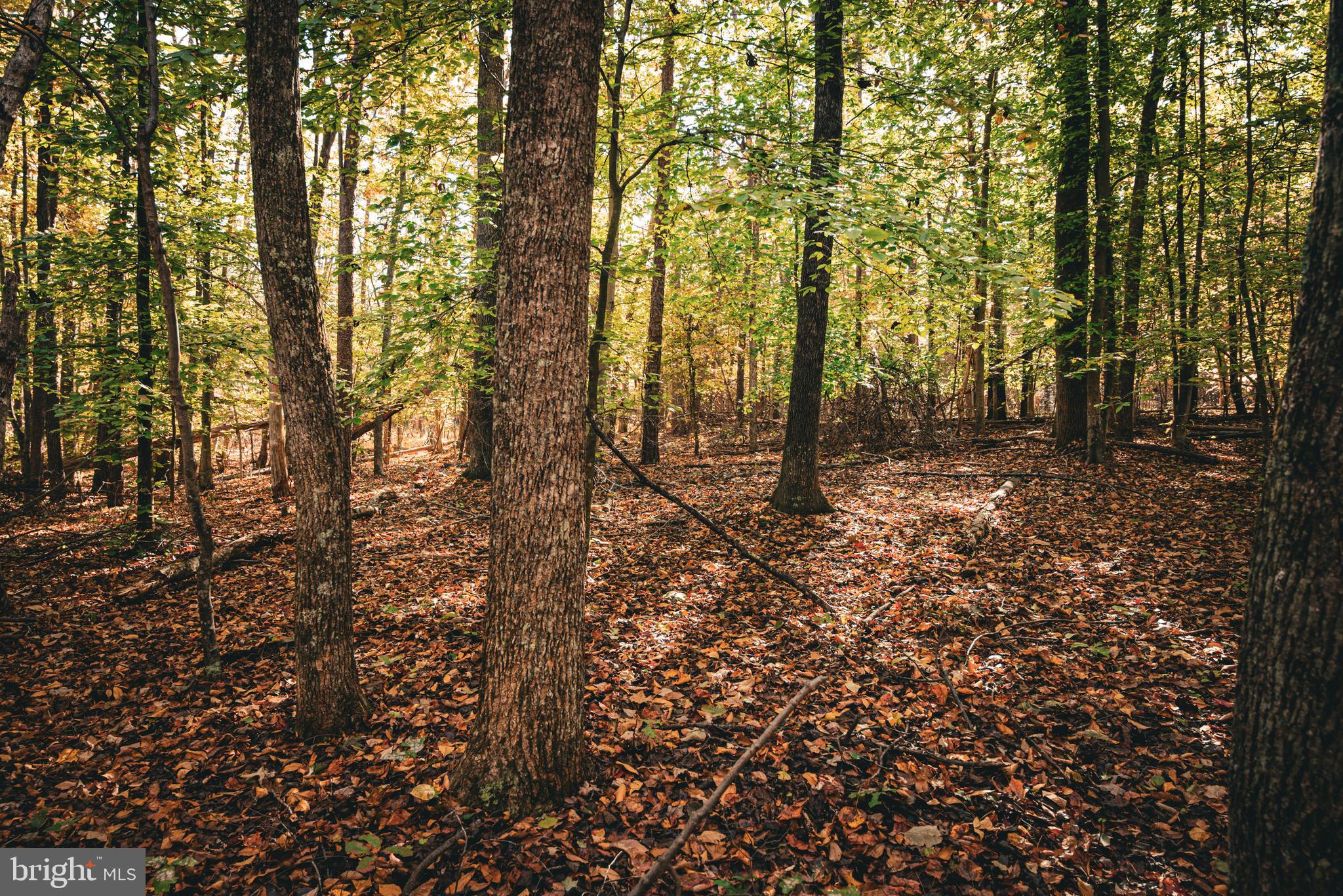 Real estate listing preview #31