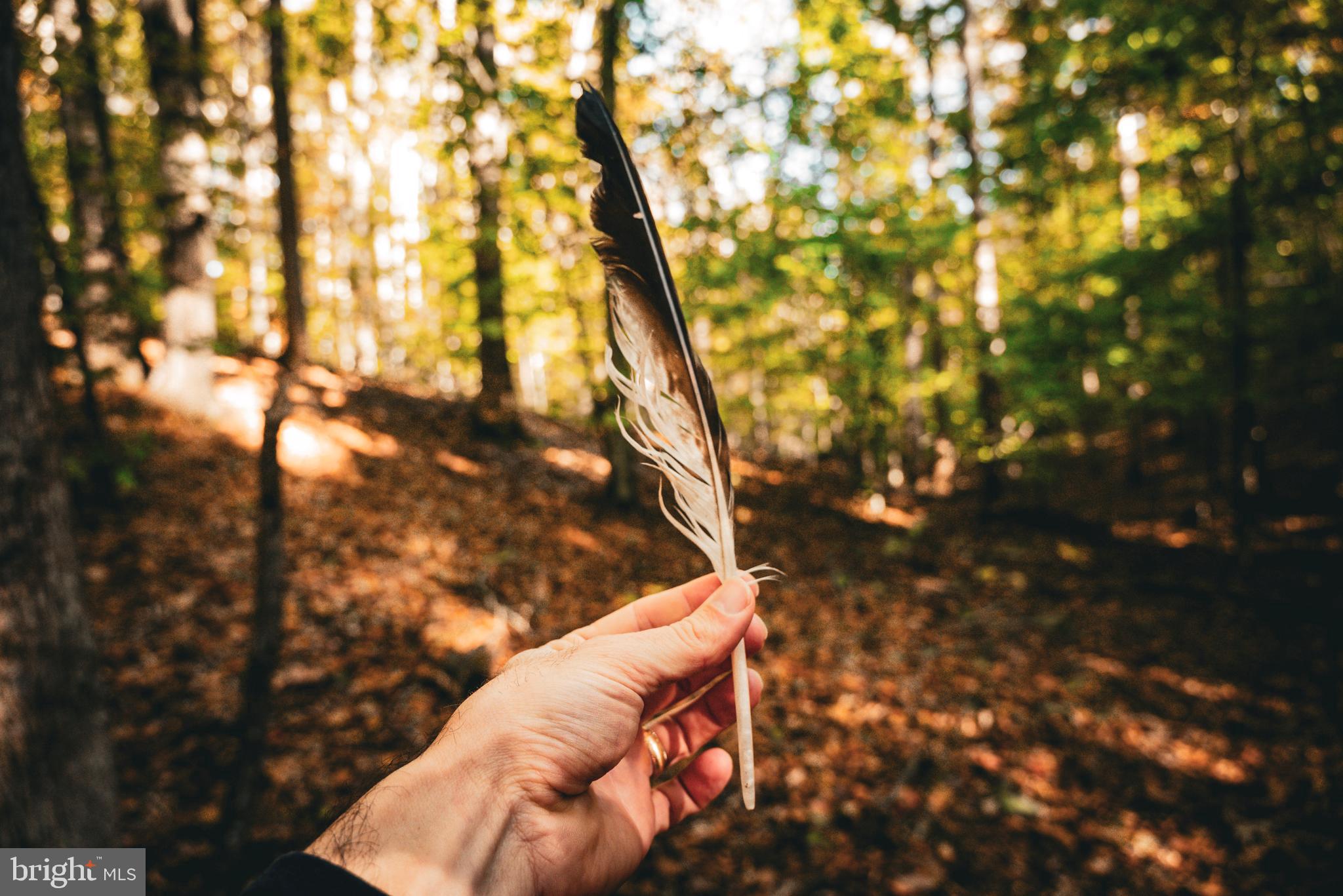 Real estate listing preview #33