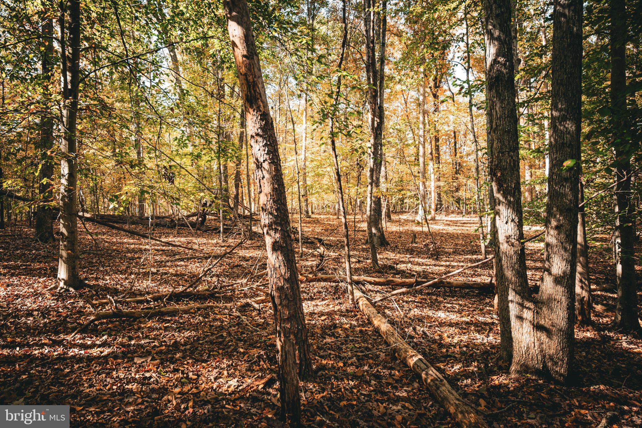 Real estate listing preview #36