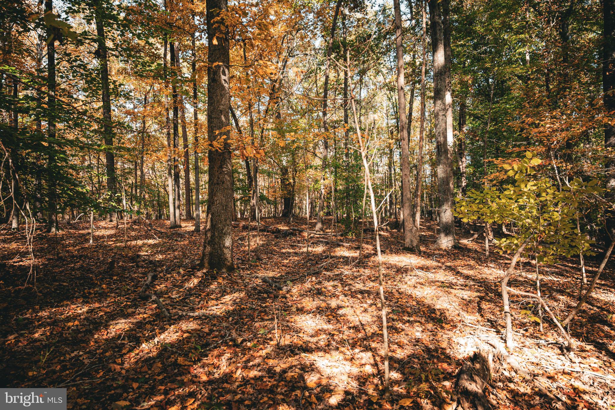 Real estate listing preview #37