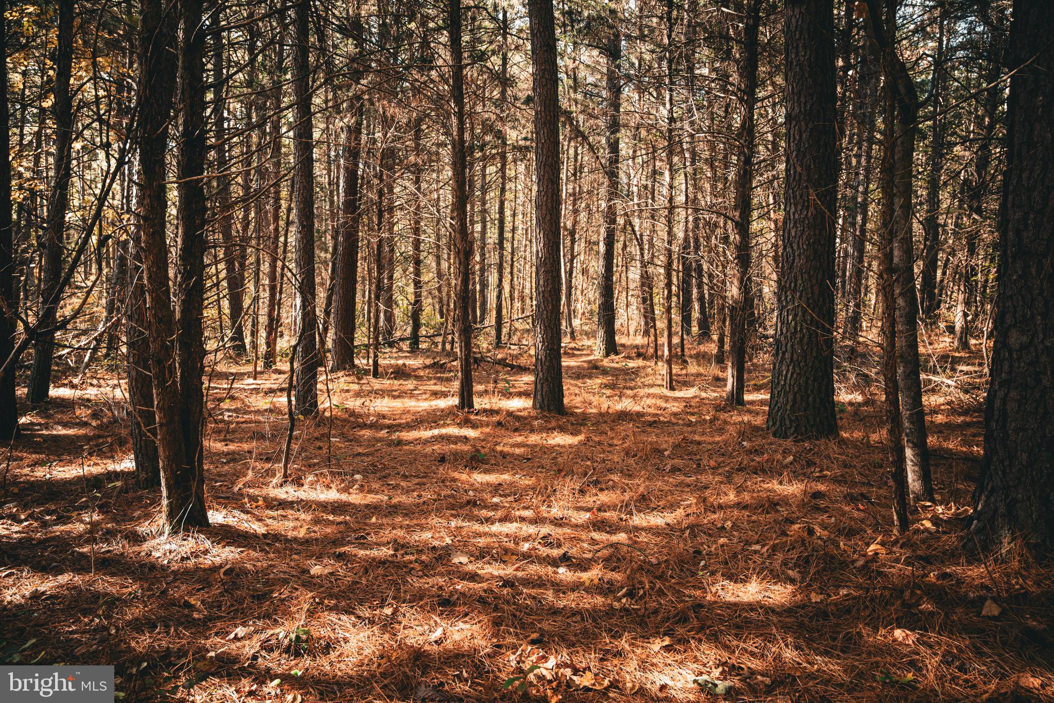 Real estate listing preview #40