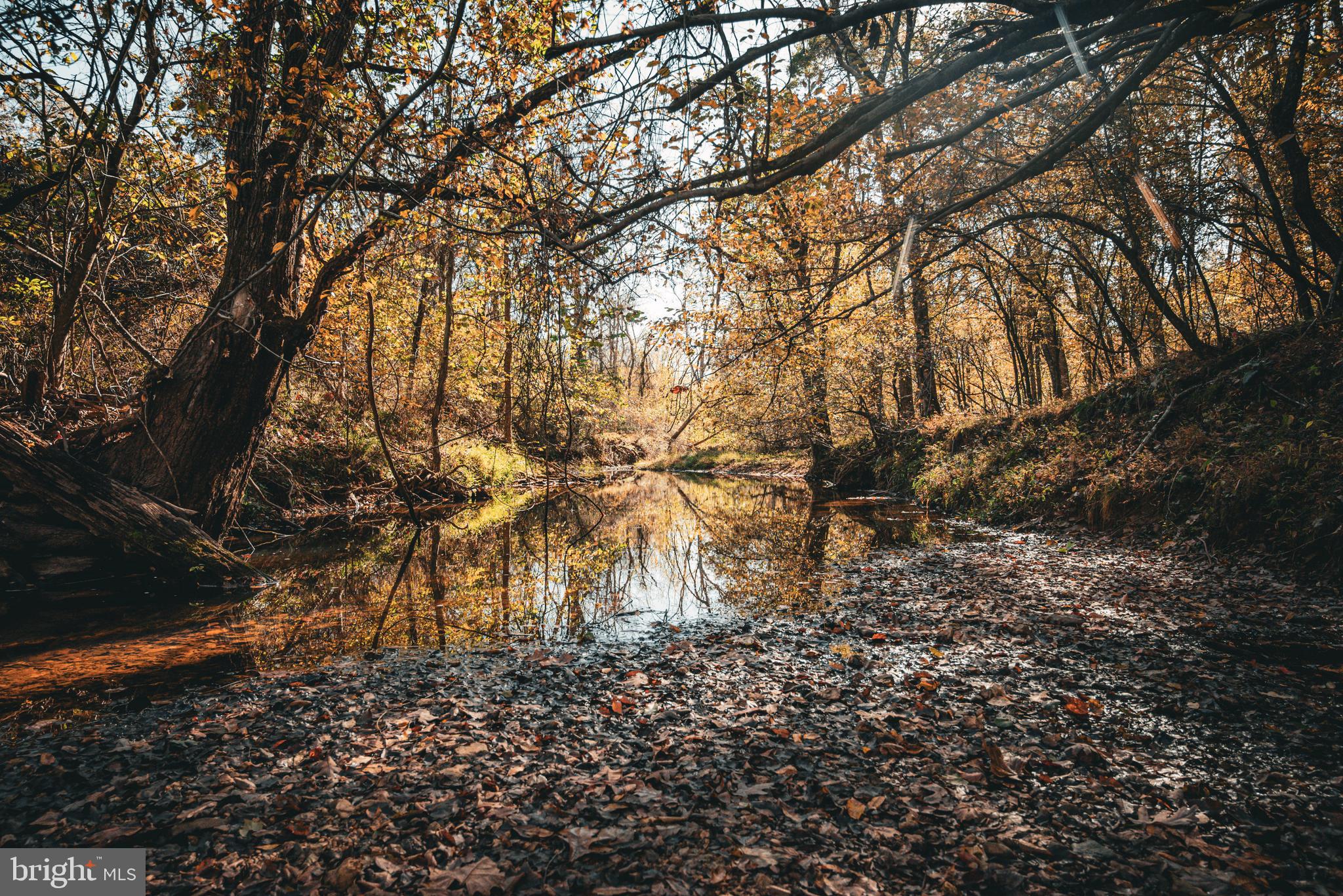 Real estate listing preview #1