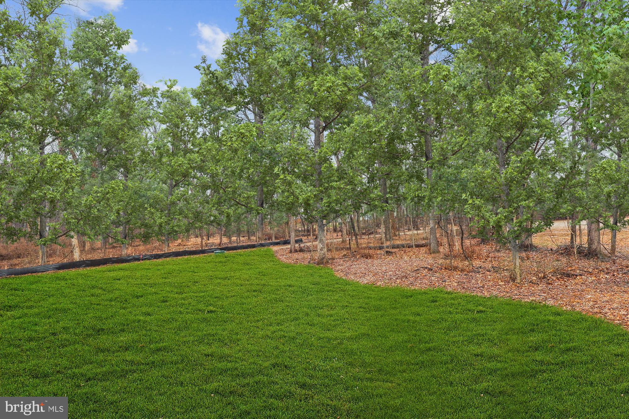 Real estate listing preview #2