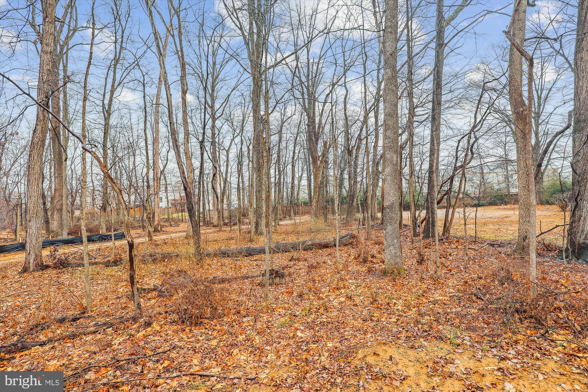 Real estate listing preview #3