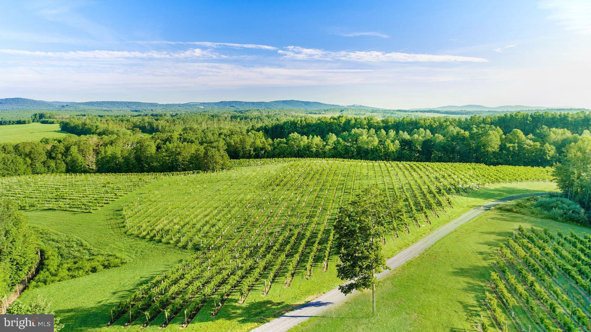 Real estate listing preview #22