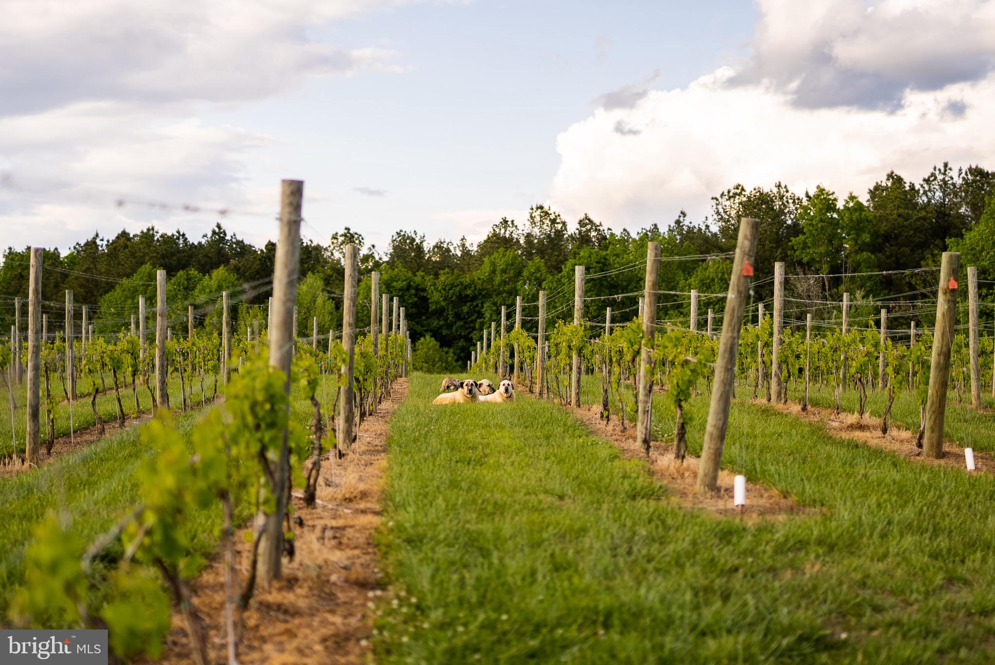 Real estate listing preview #7