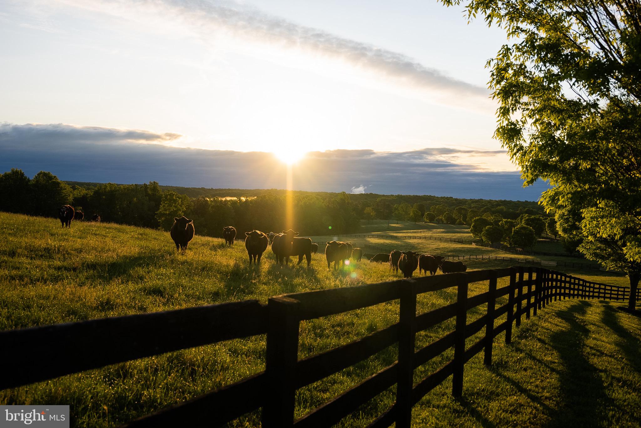 Real estate listing preview #2