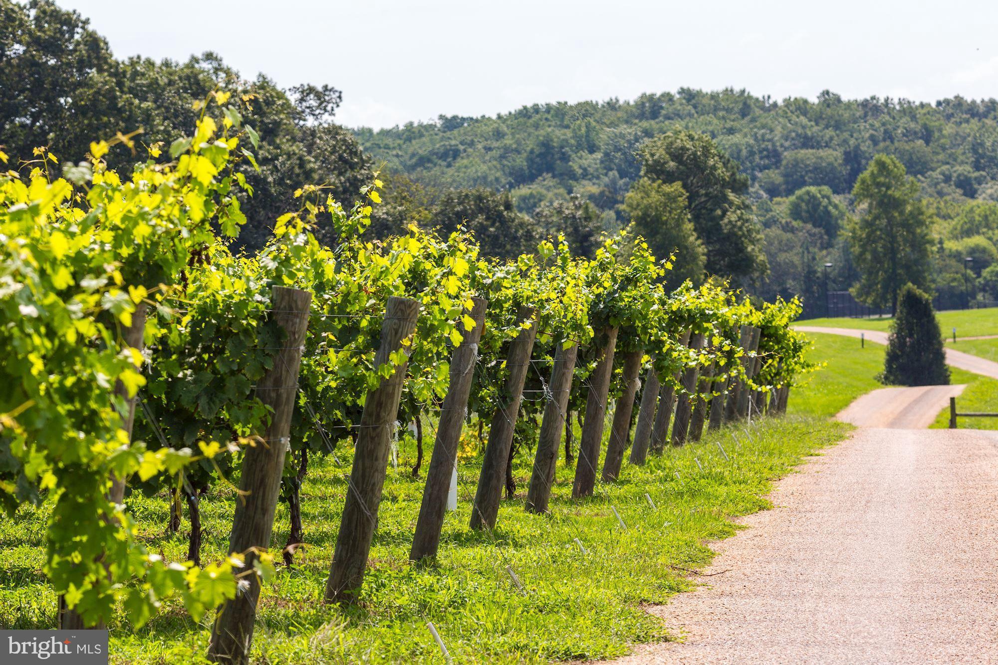 Real estate listing preview #23