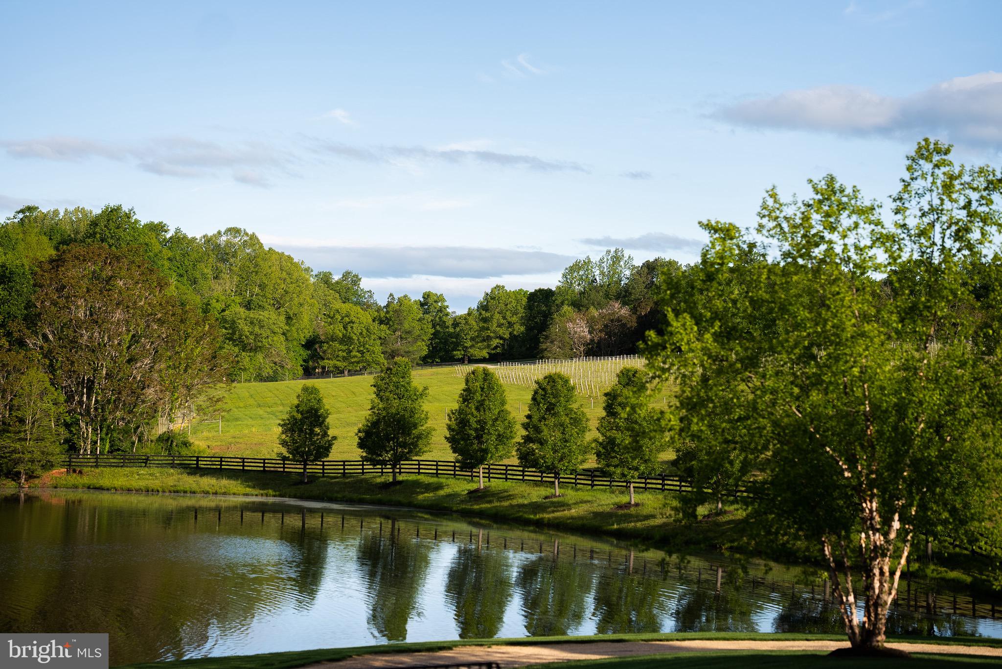 Real estate listing preview #8