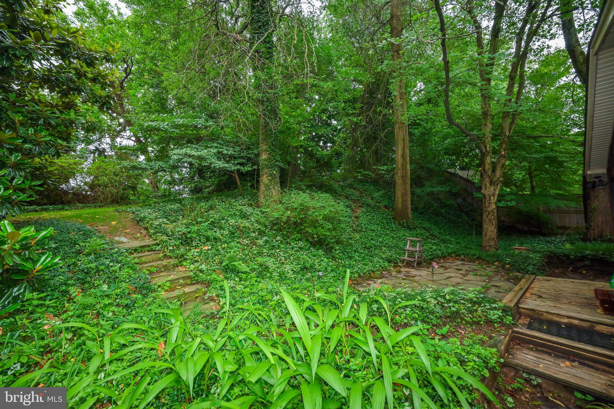 Real estate listing preview #8