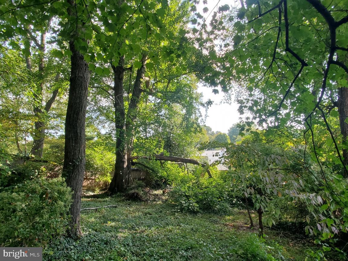 Real estate listing preview #33