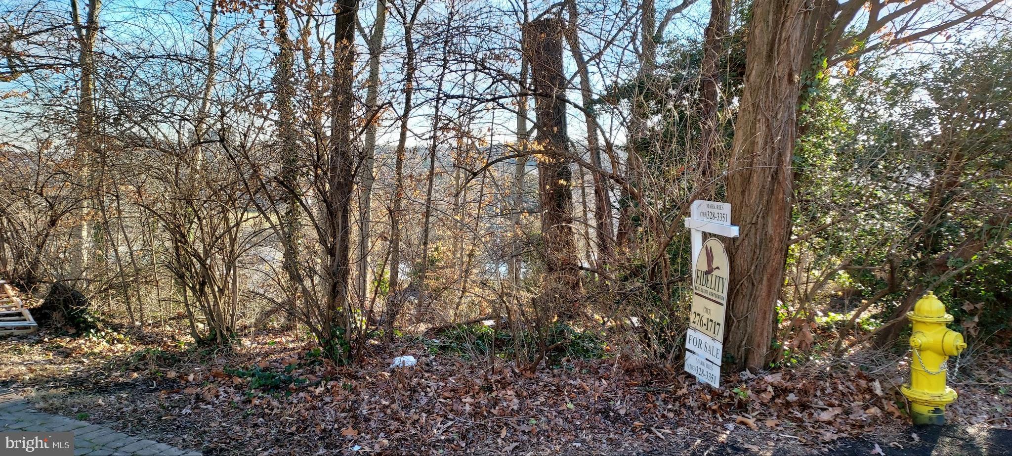 Real estate listing preview #2