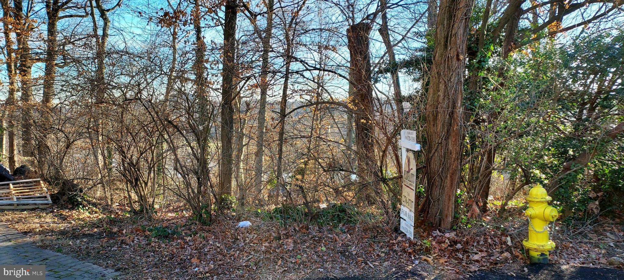 Real estate listing preview #1