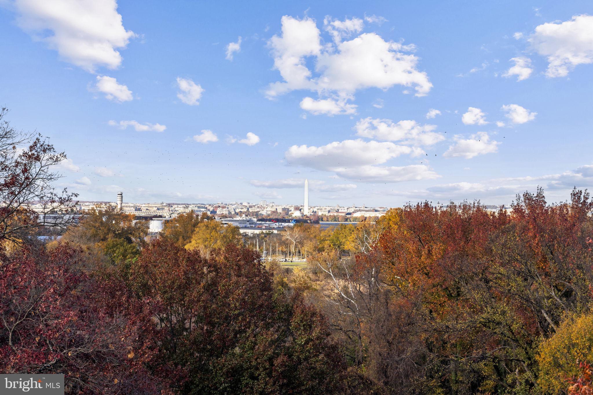 Real estate listing preview #38