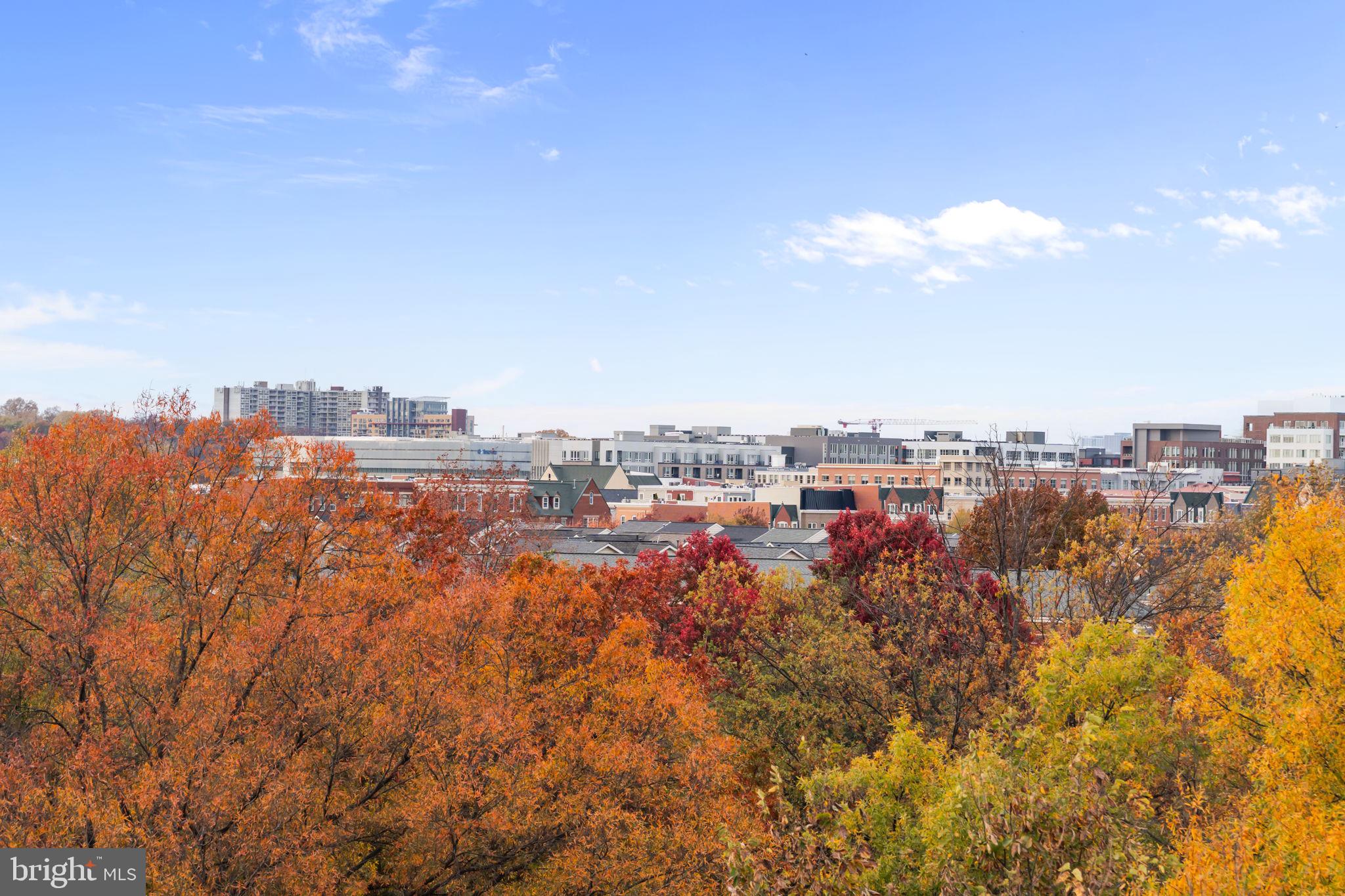 Real estate listing preview #39