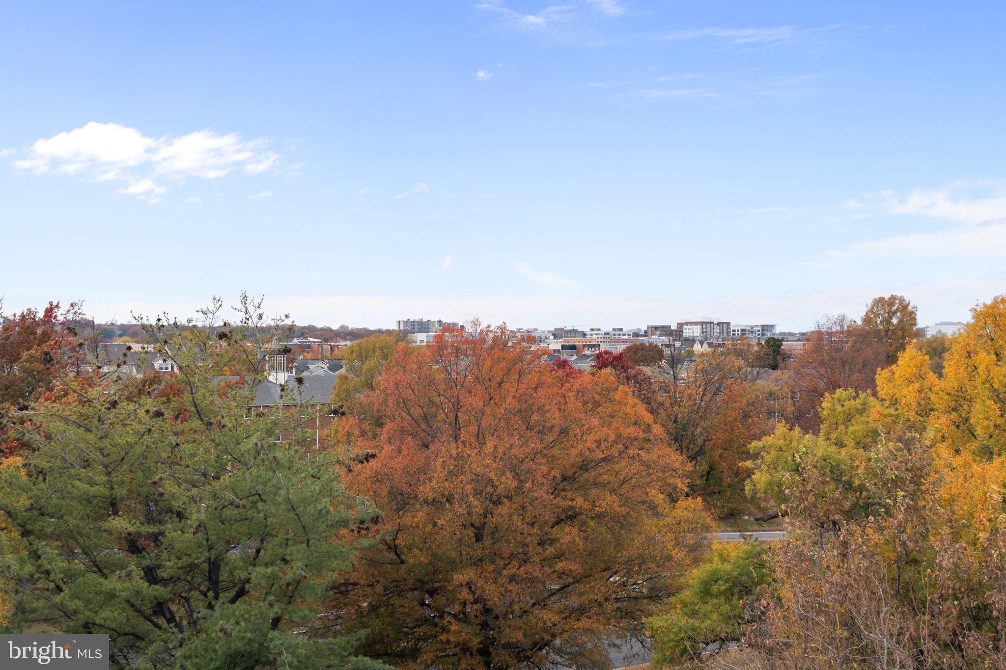 Real estate listing preview #42