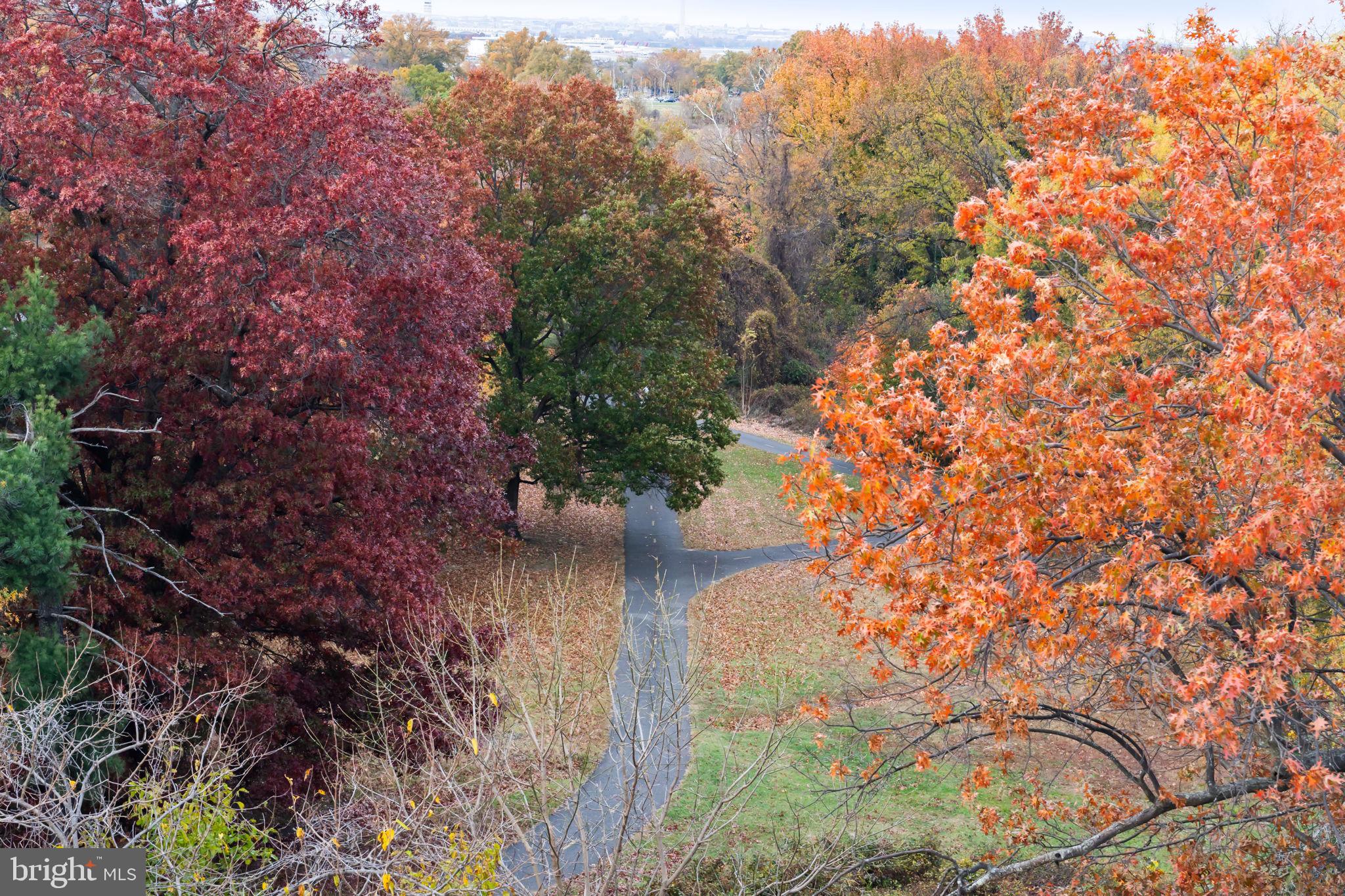 Real estate listing preview #40