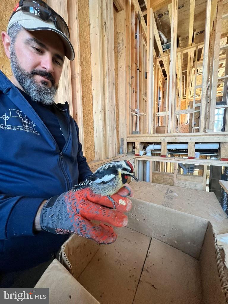 Real estate listing preview #20