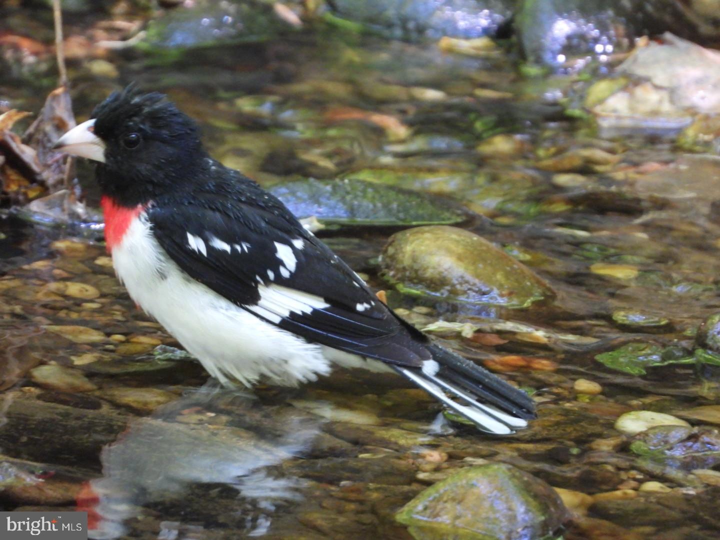 Real estate listing preview #19