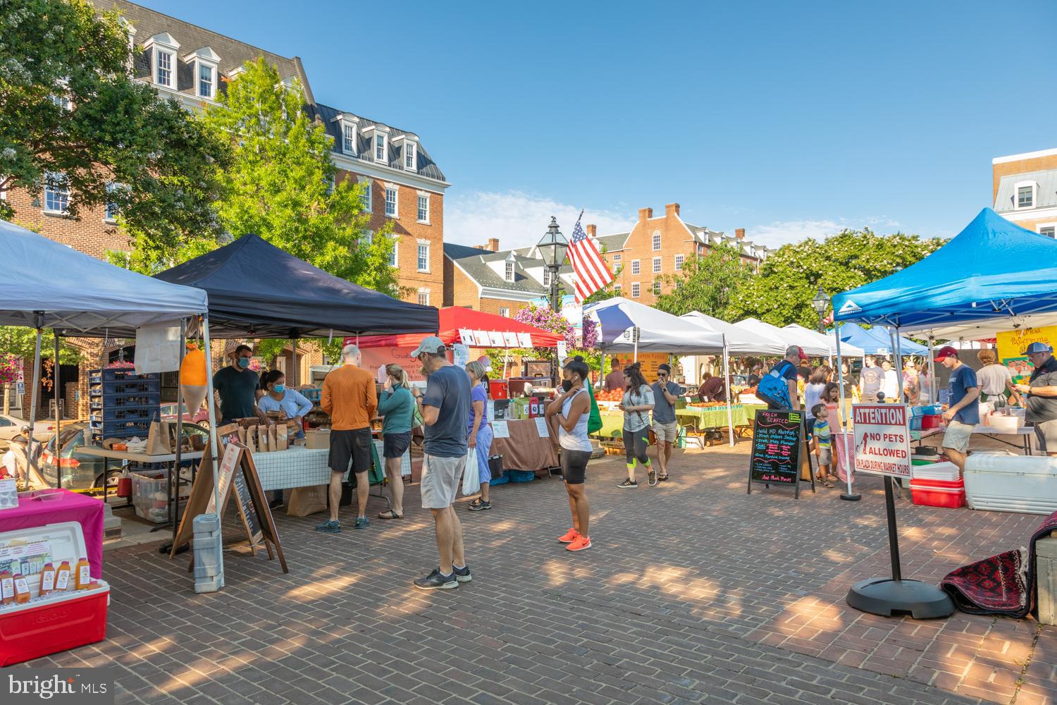 Real estate listing preview #57