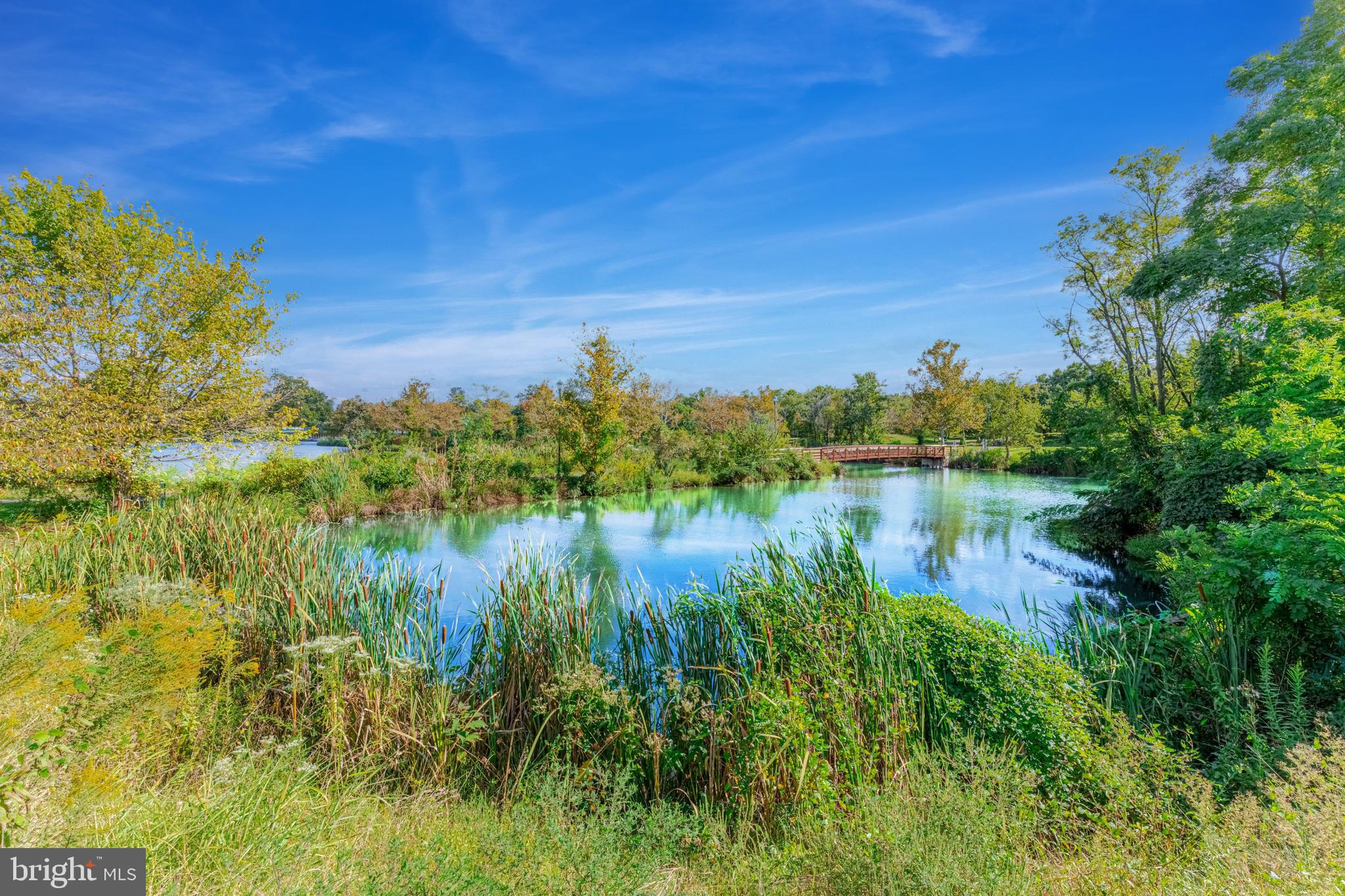 Real estate listing preview #50