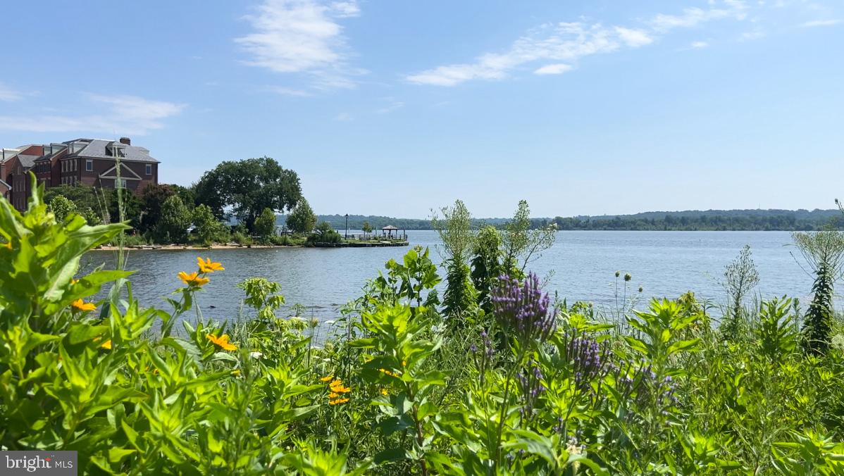 Real estate listing preview #2