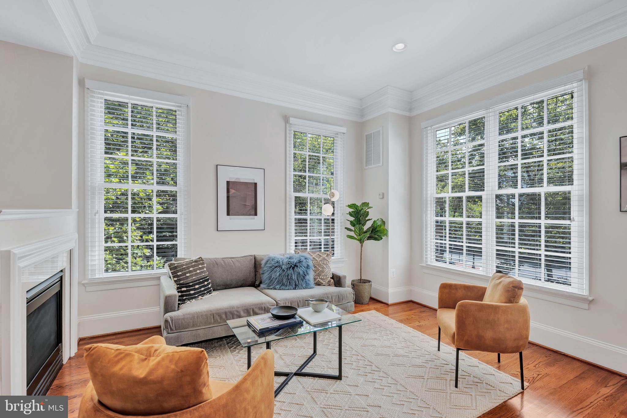 Real estate listing preview #10