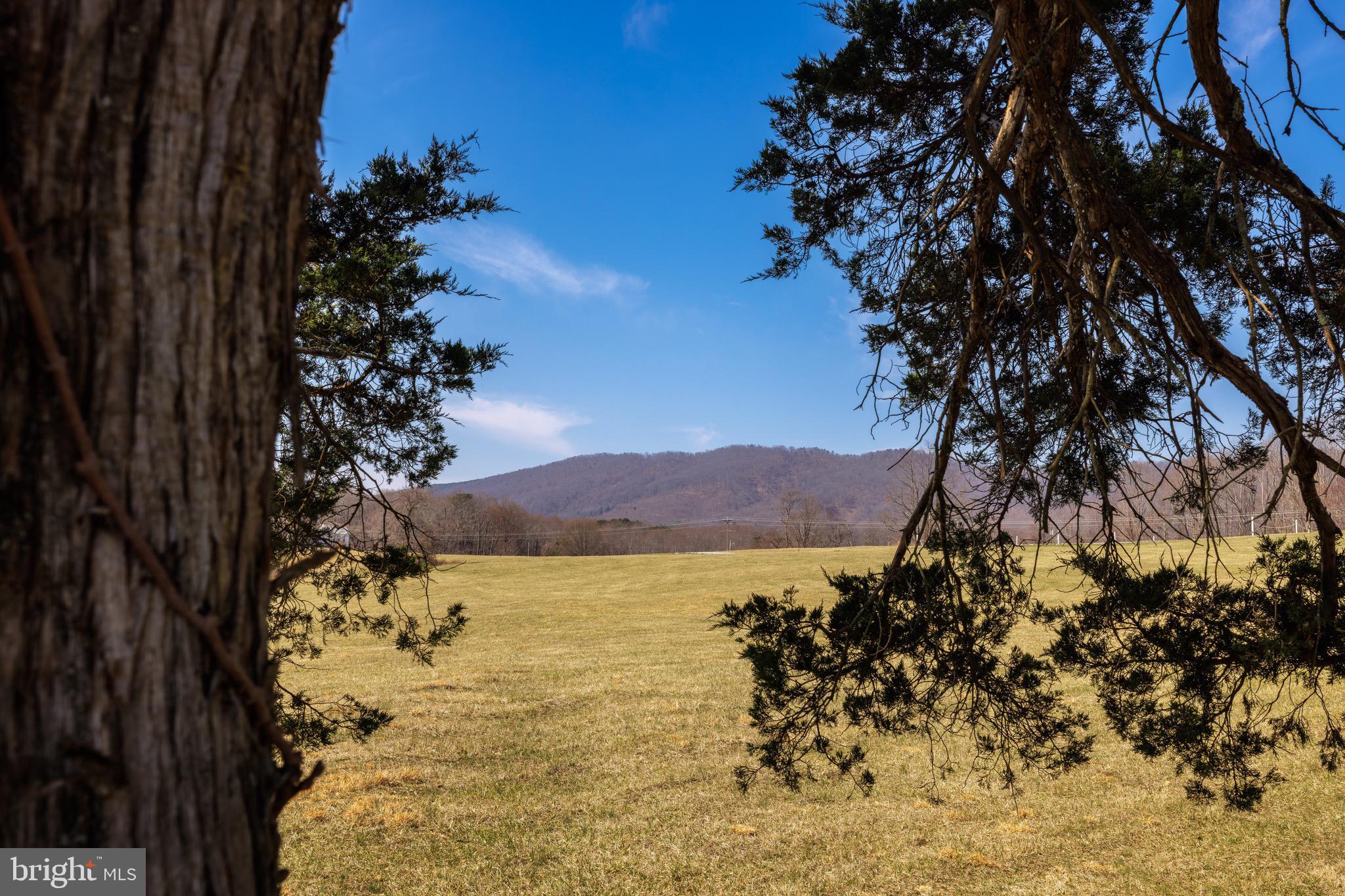 Real estate listing preview #58