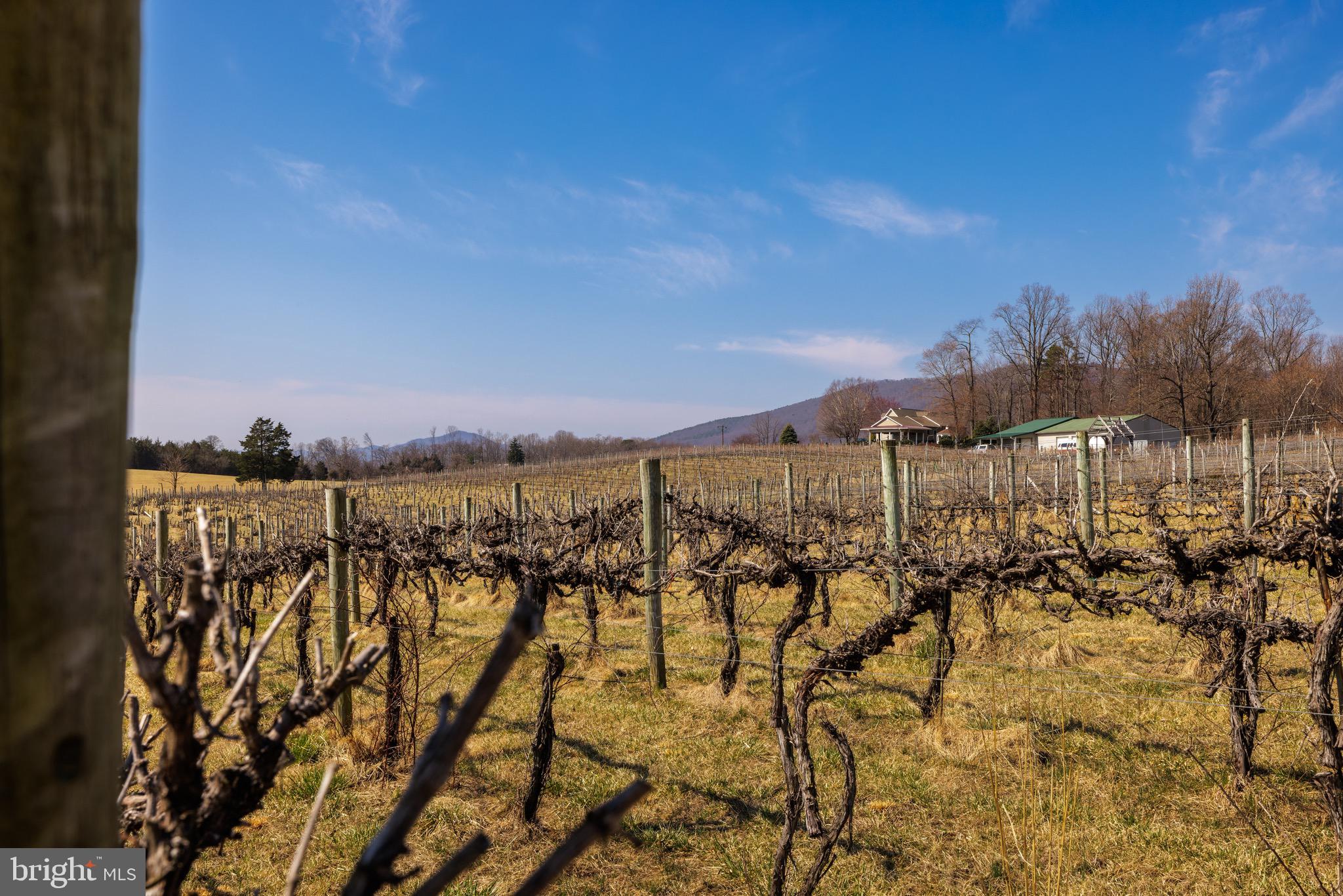 Real estate listing preview #74